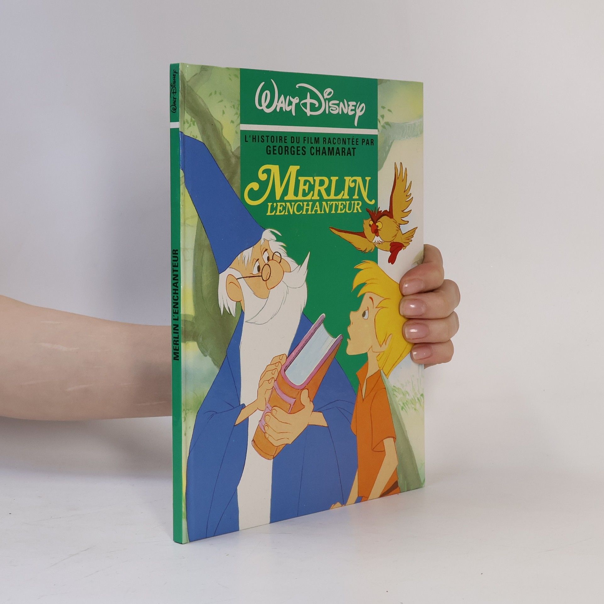 Autorenkollektiv Merlin l'enchanteur