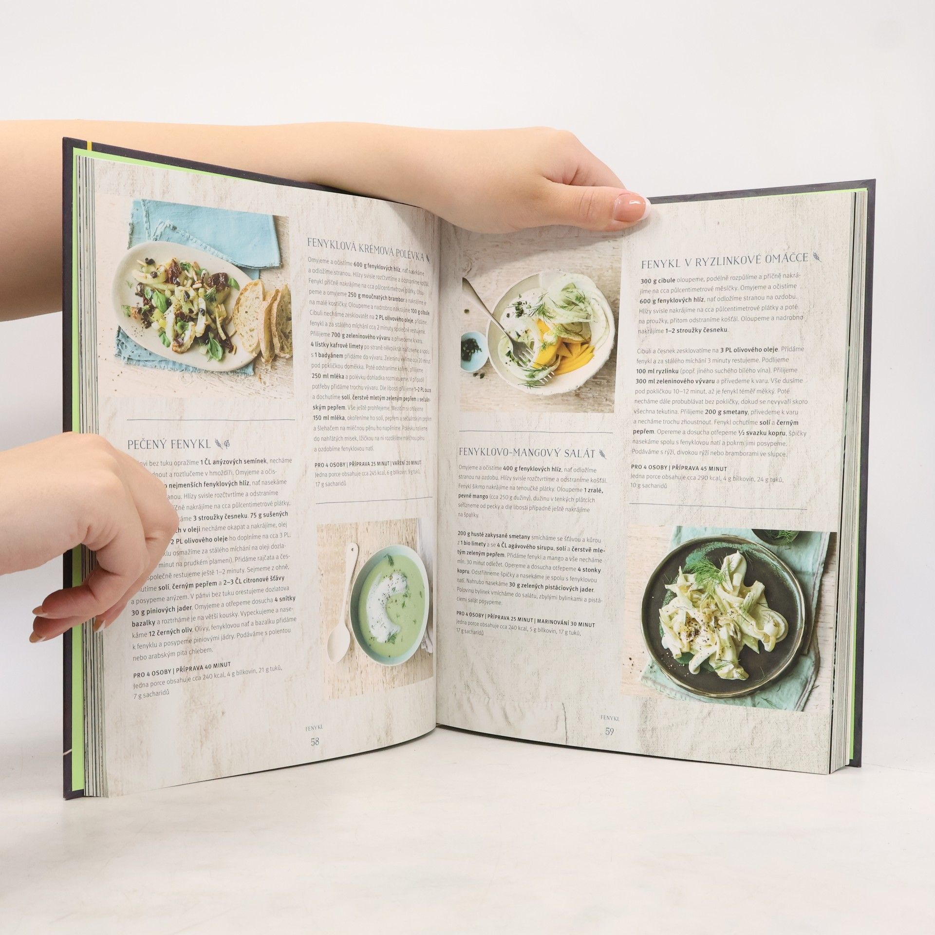 Bettina Matthaei Moderní vegetariánská kuchařka: nejlepší recepty bez masa na každý den