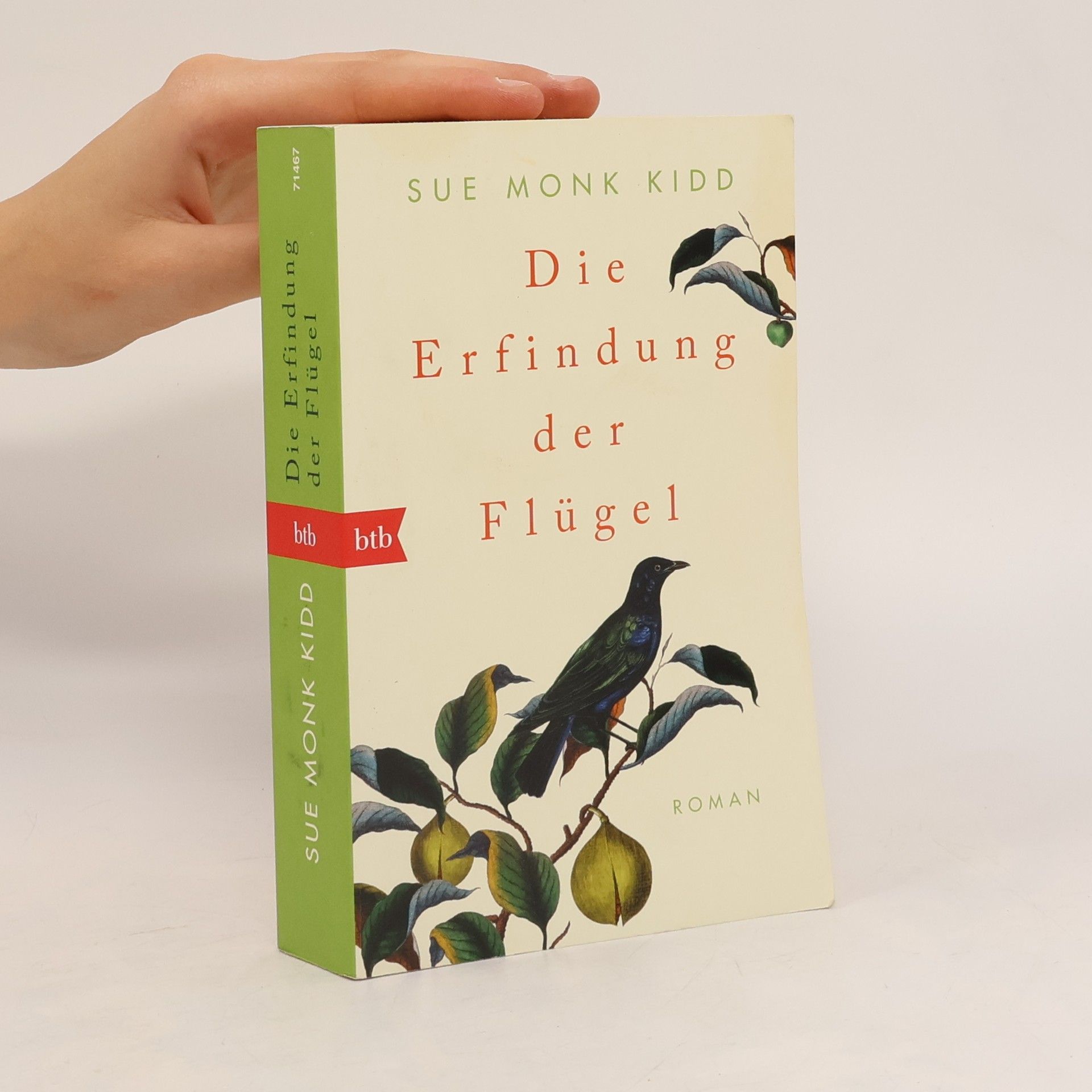 Sue Monk Kidd Die Erfindung der Flügel