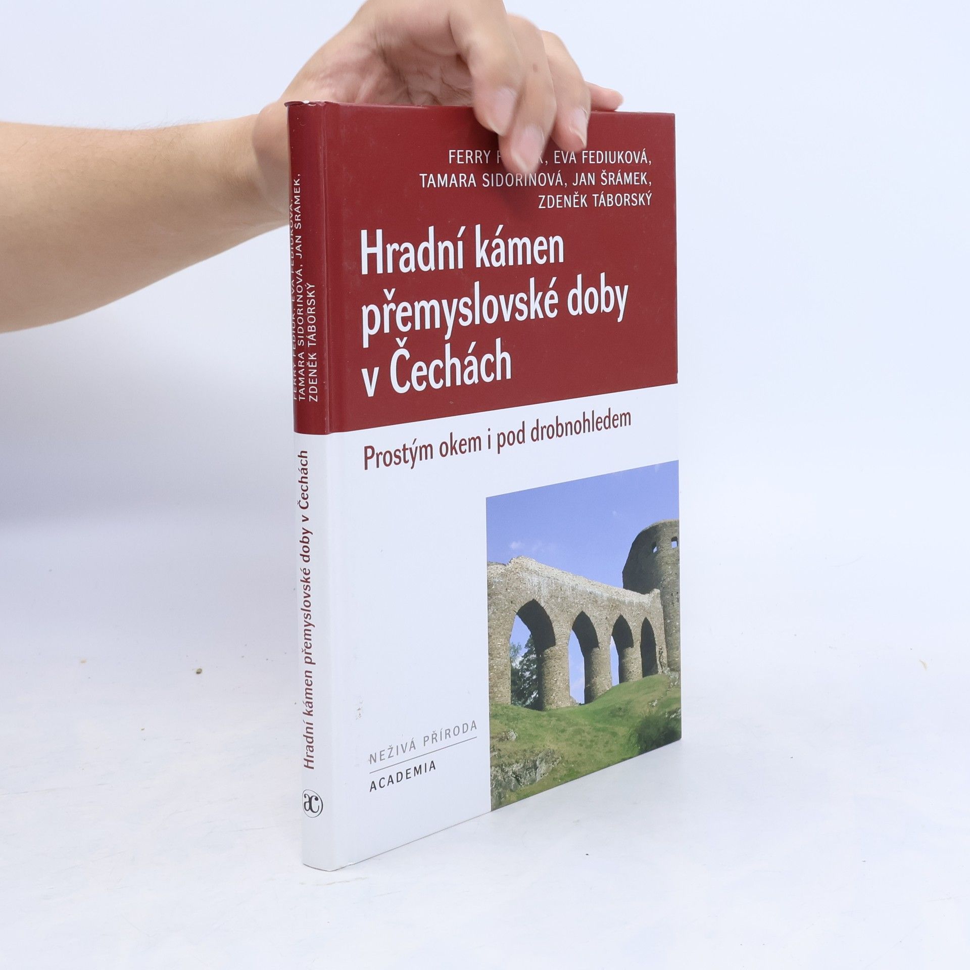 František Fediuk Hradní kámen přemyslovské doby v Čechách