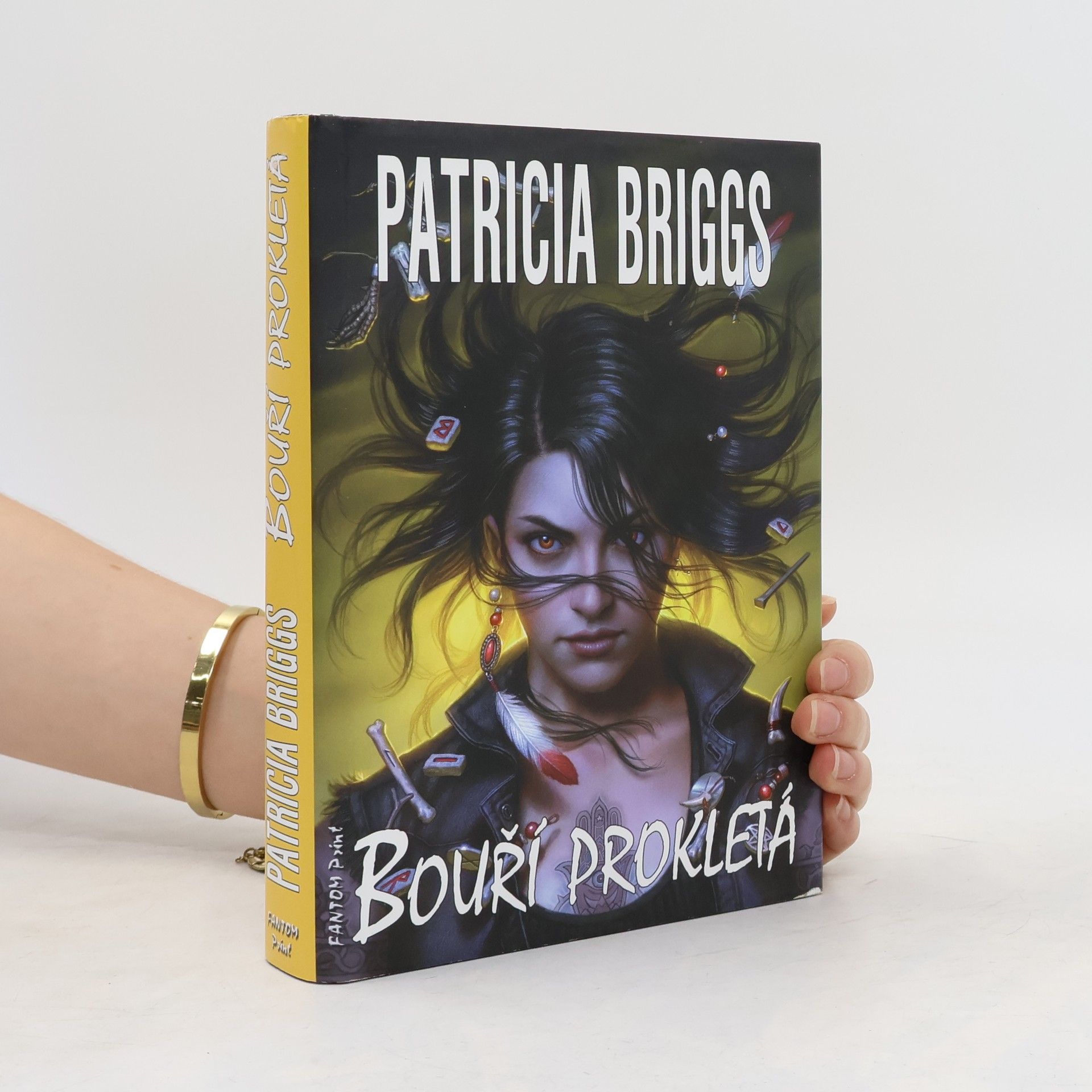 Patricia Briggs Bouří prokletá