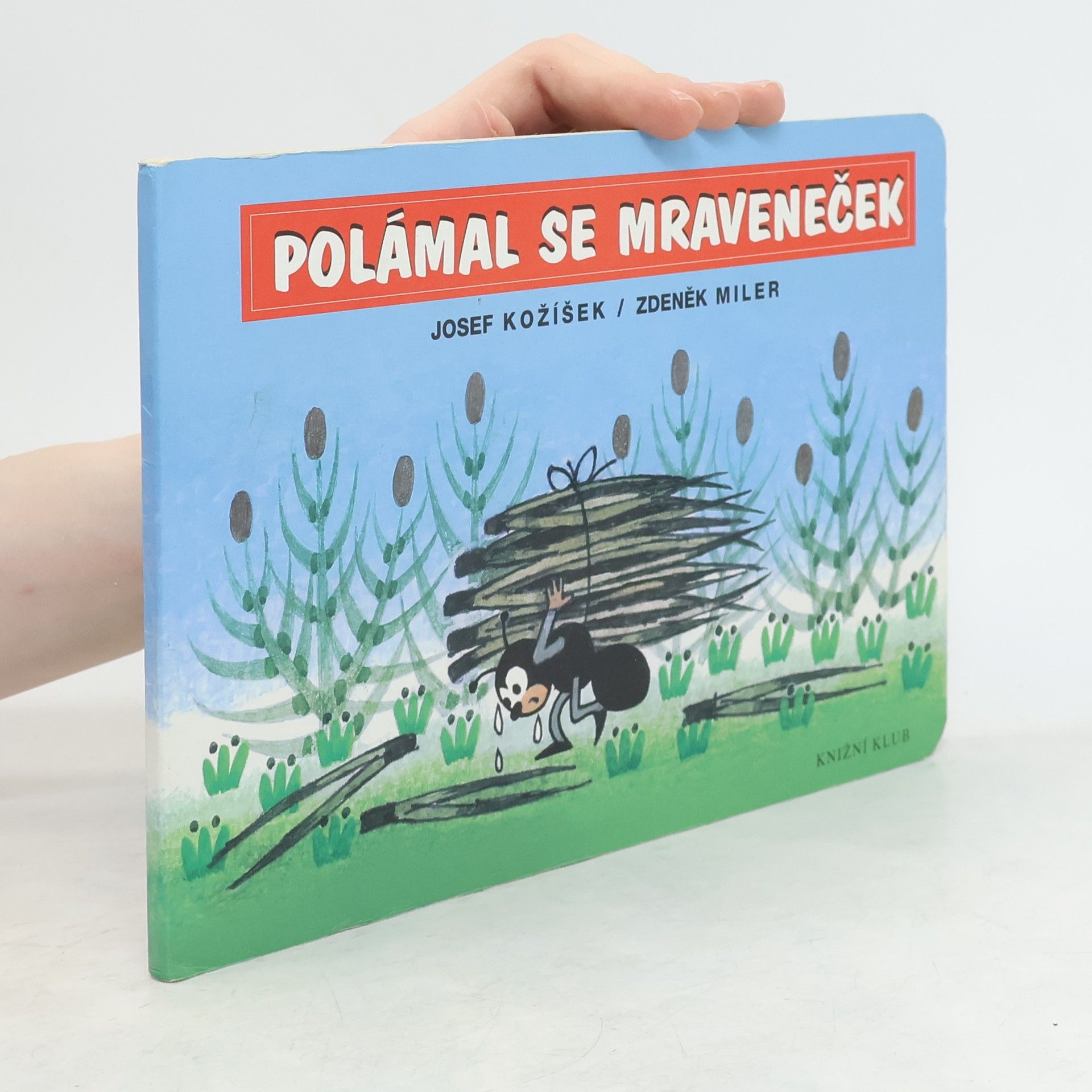 Polámal se mraveneček