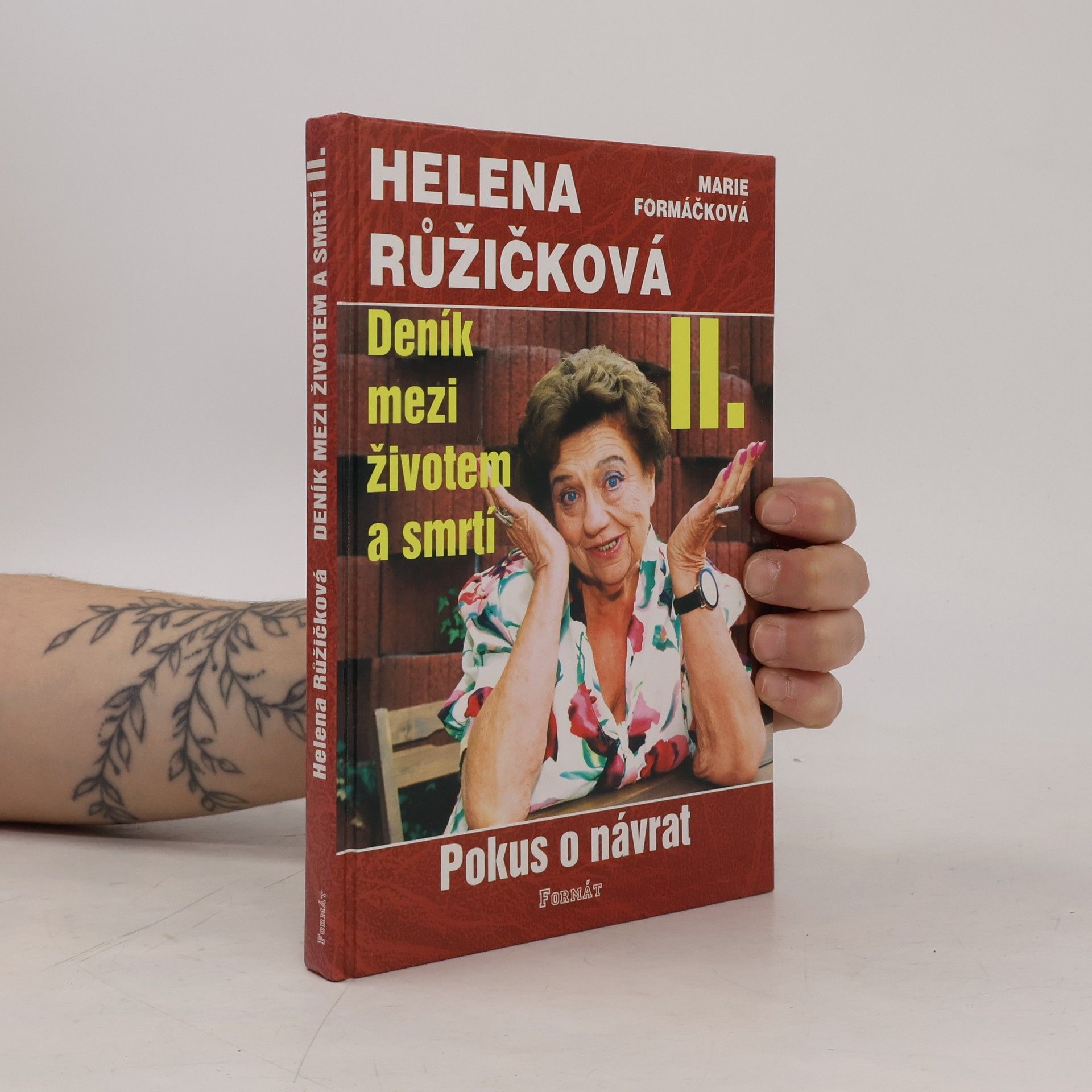 Helena Růžičková Deník mezi životem a smrtí. II., Pokus o návrat