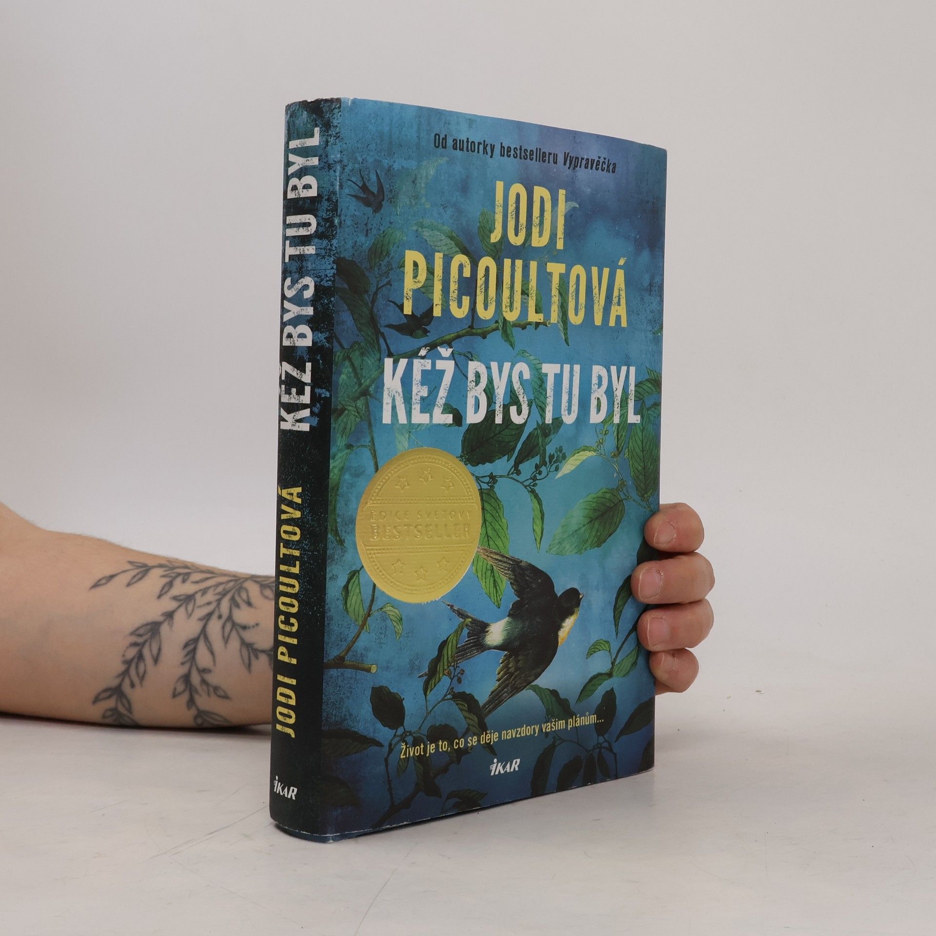 Jodi Picoult Kéž bys tu byl