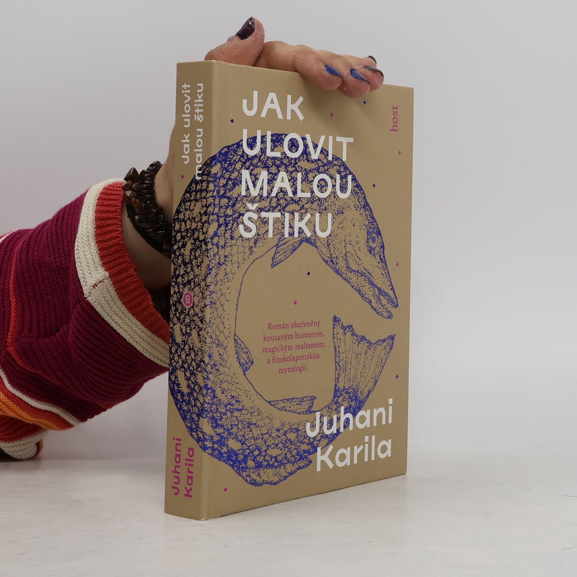 Juhani Karila Jak ulovit malou štiku
