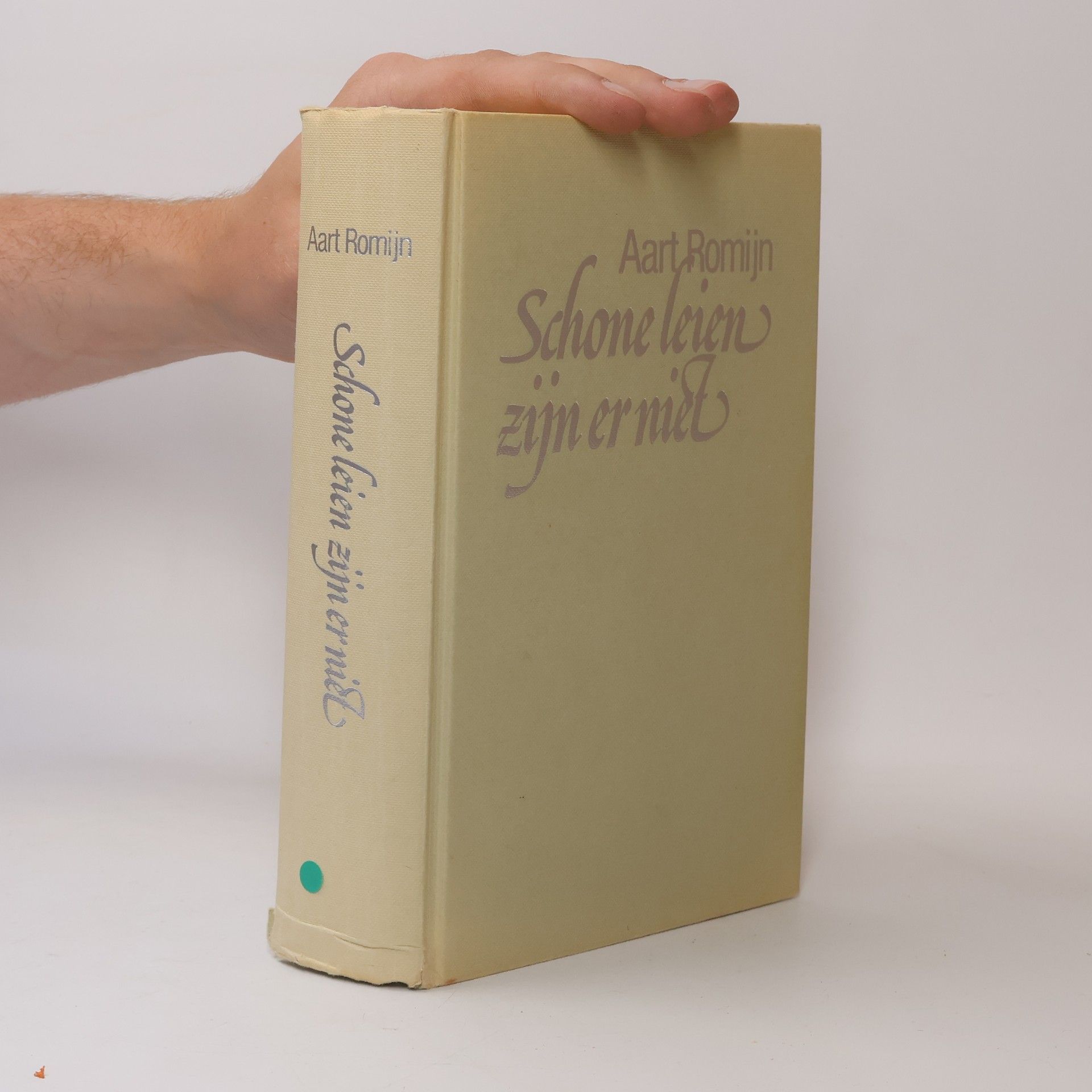 Aart Romijn Omnibus: Schone leien zijn er niet