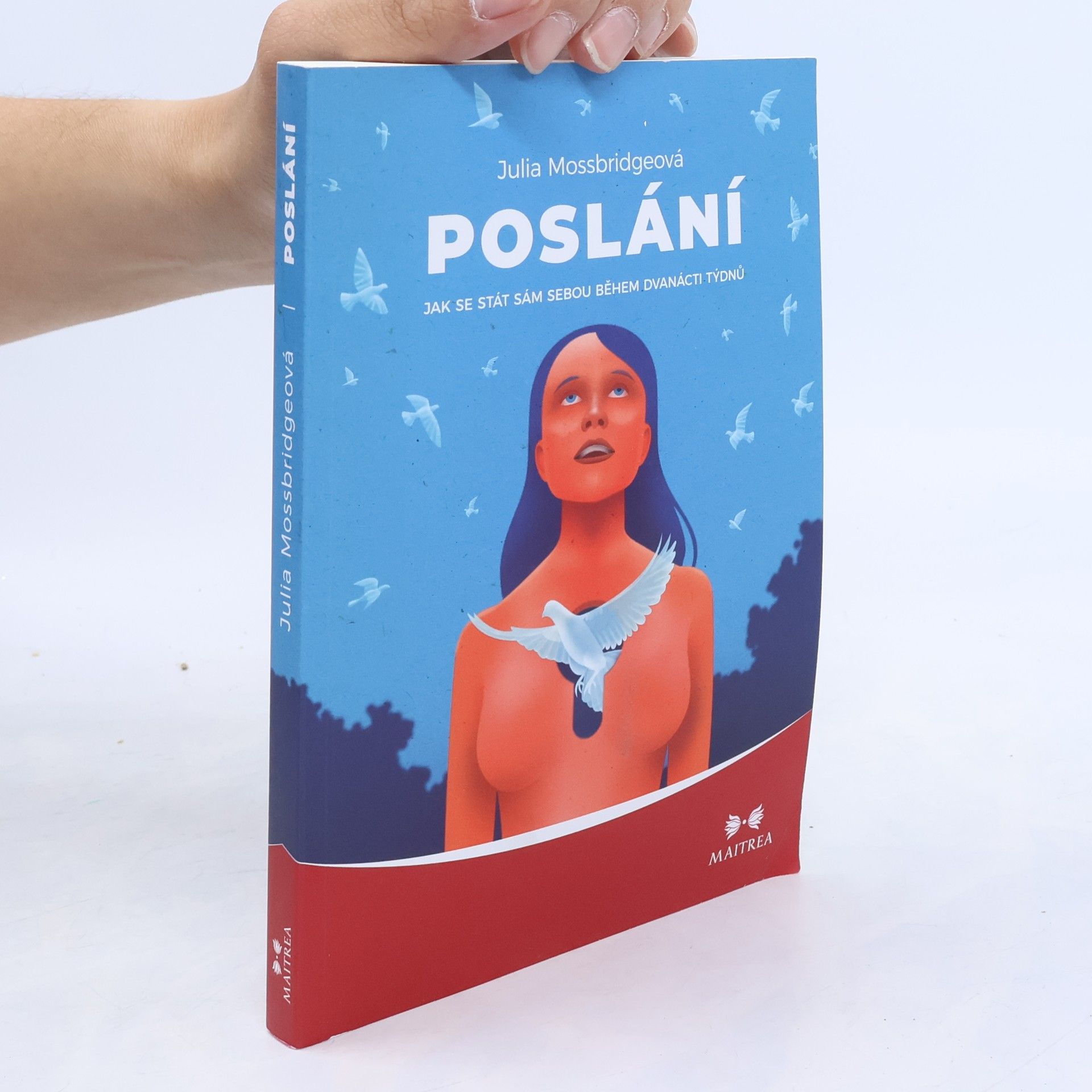 Poslání : jak se stát sám sebou během dvanácti týdnů