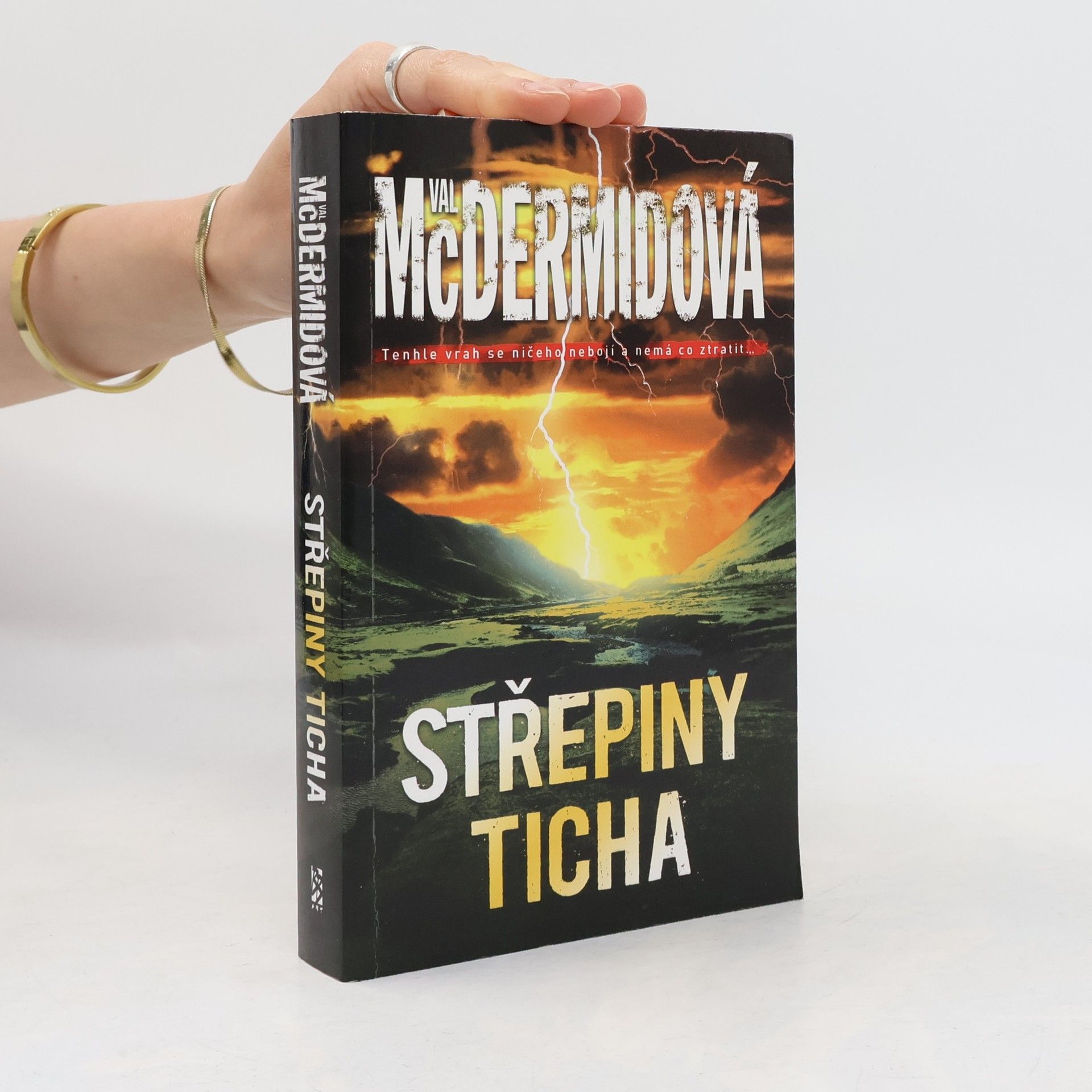 Val McDermid Střepiny ticha