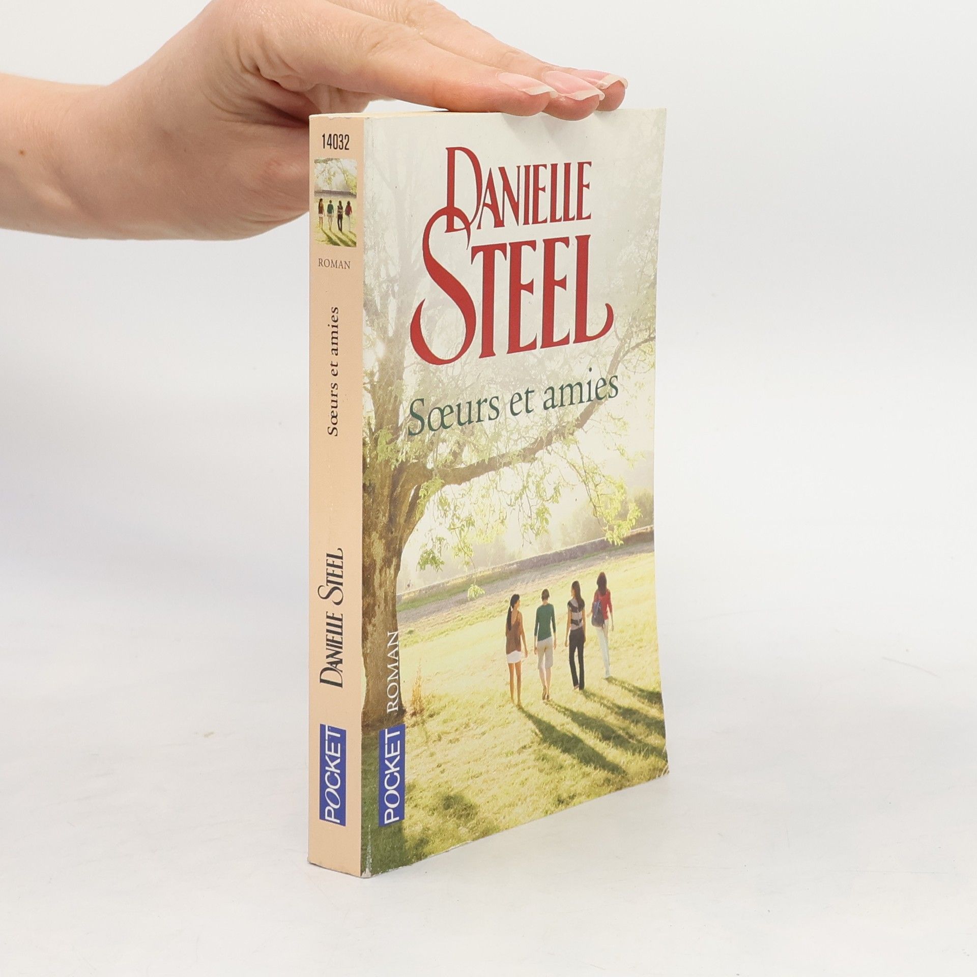 Danielle Steelová Sœurs et amies