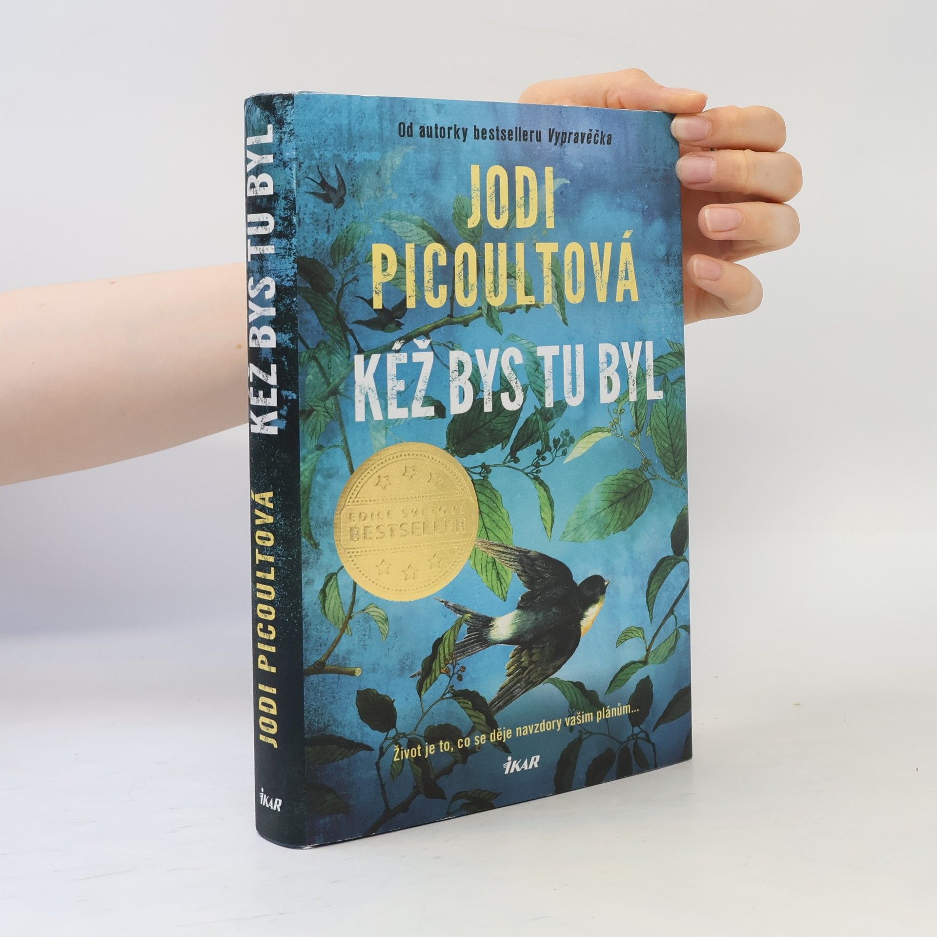 Jodi Picoult Kéž bys tu byl