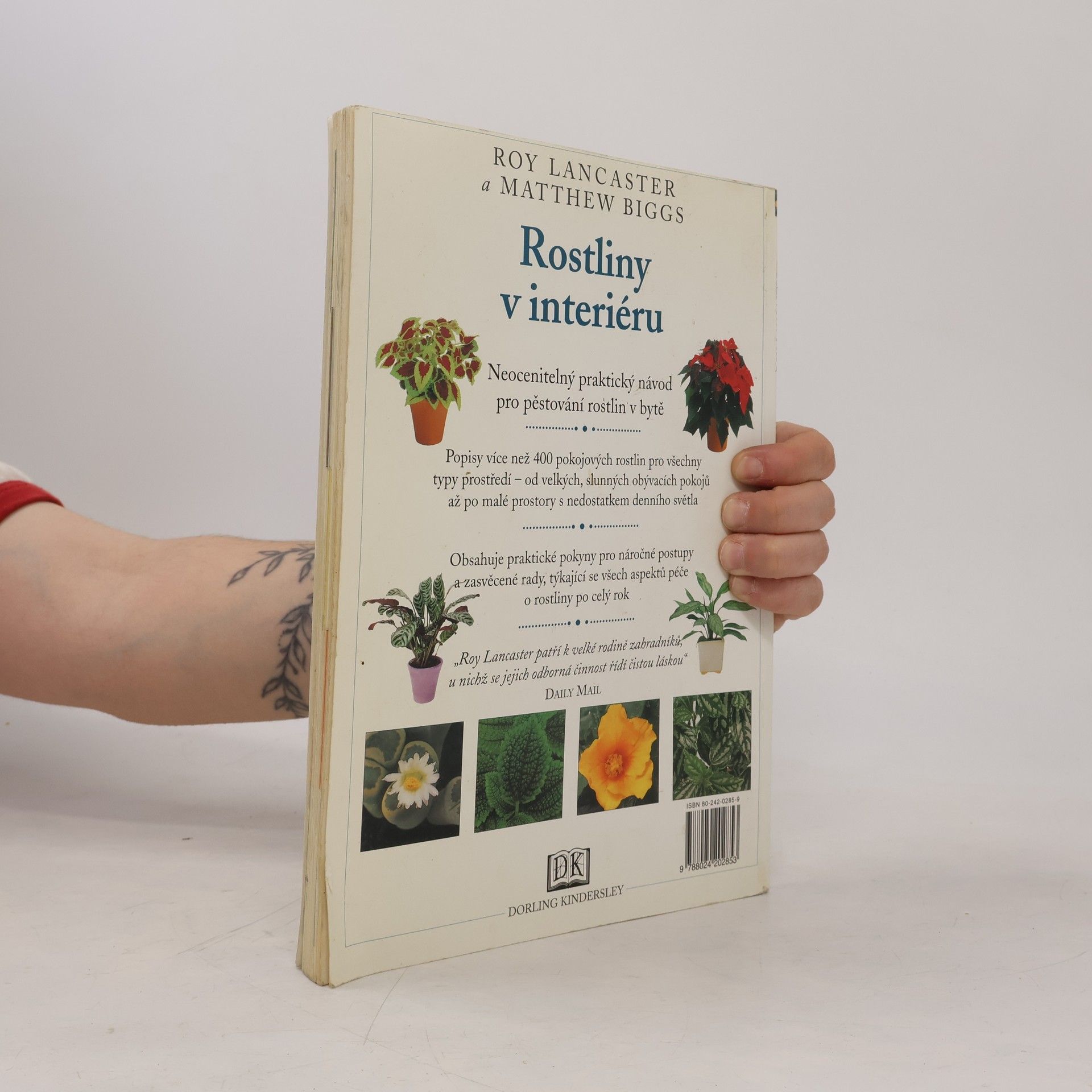 Roy Lancaster Rostliny v interiéru