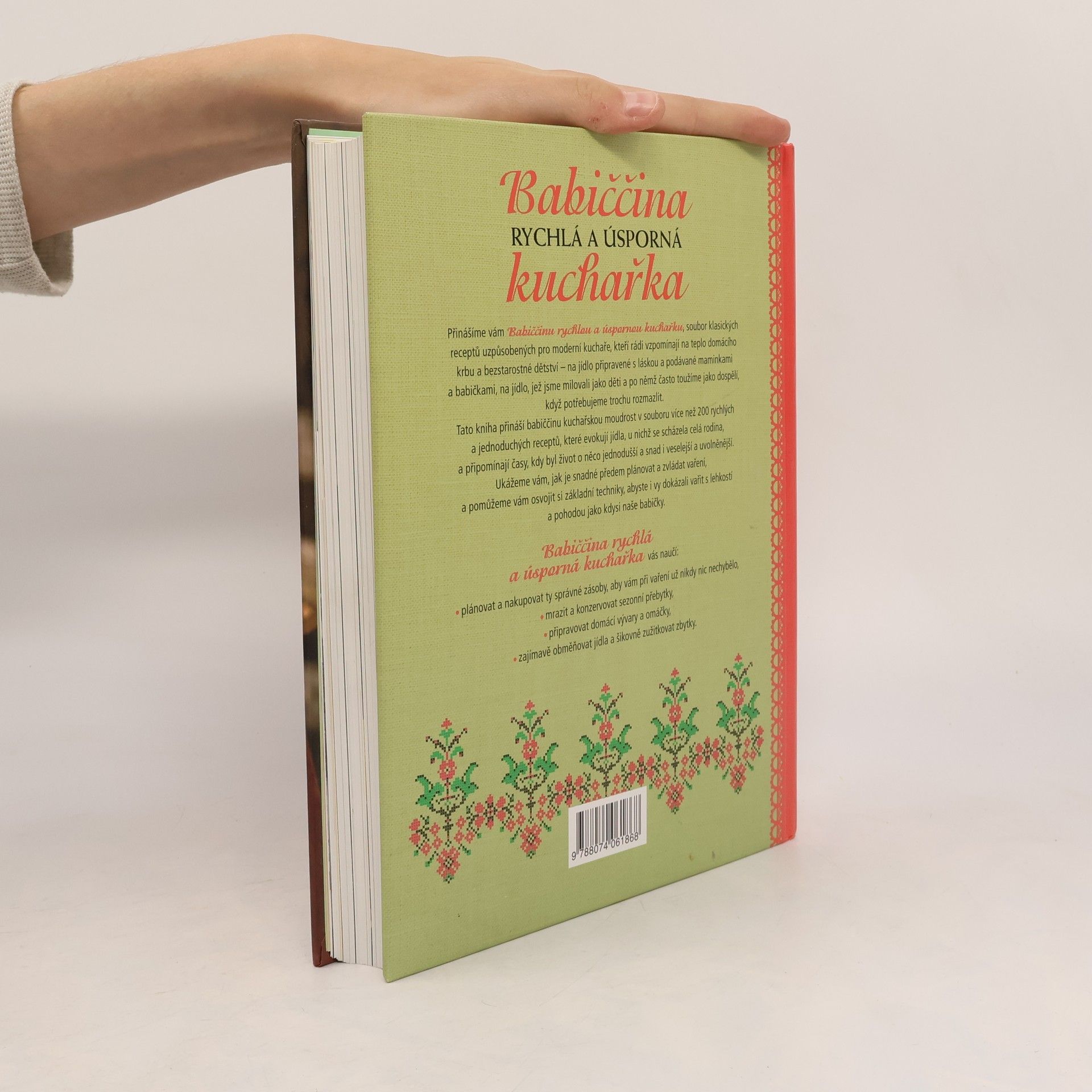 Autorenkollektiv Babiččina rychlá a úsporná kuchařka