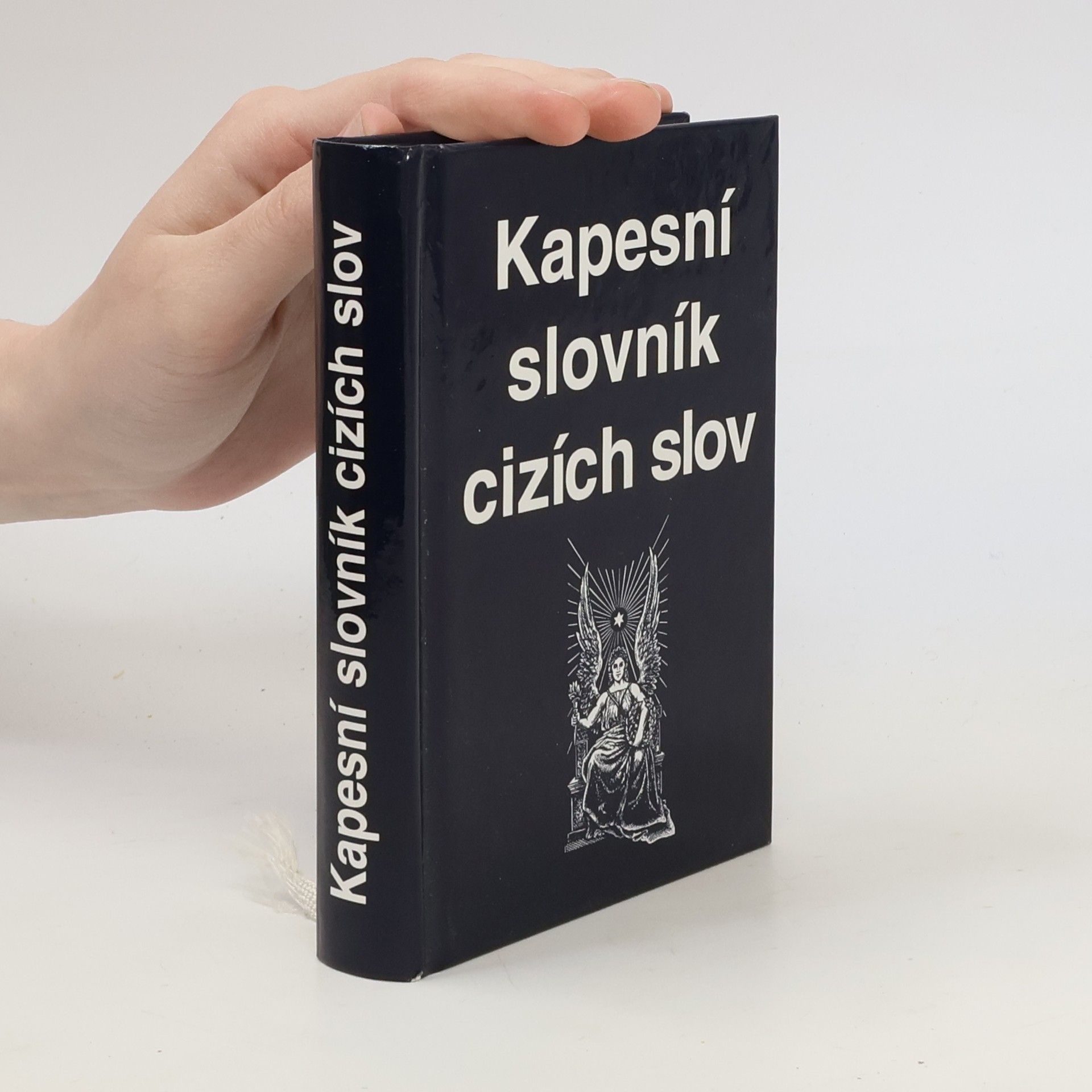 Kolektiv autorů Kapesní slovník cizích slov