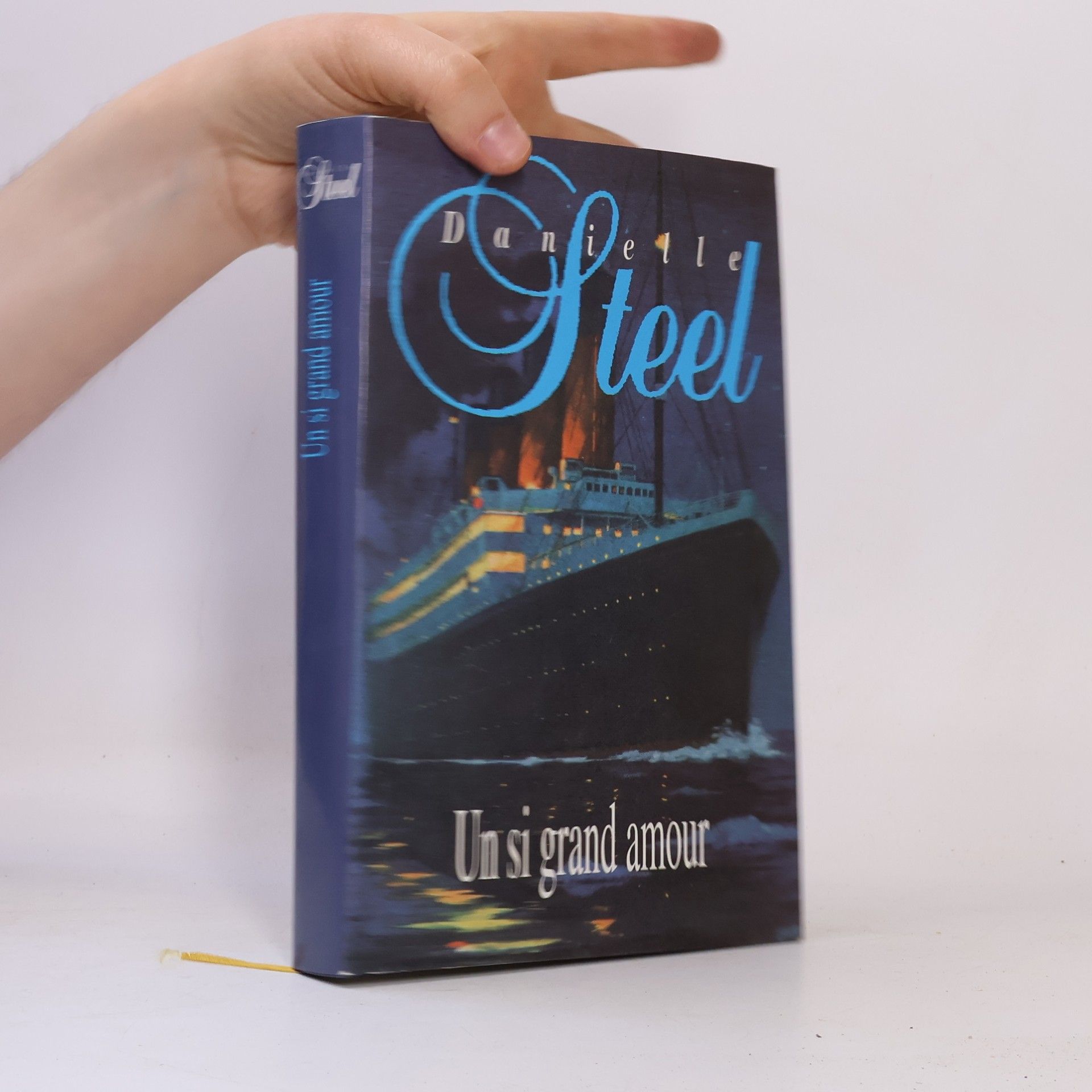 Danielle Steel Un si grand amour