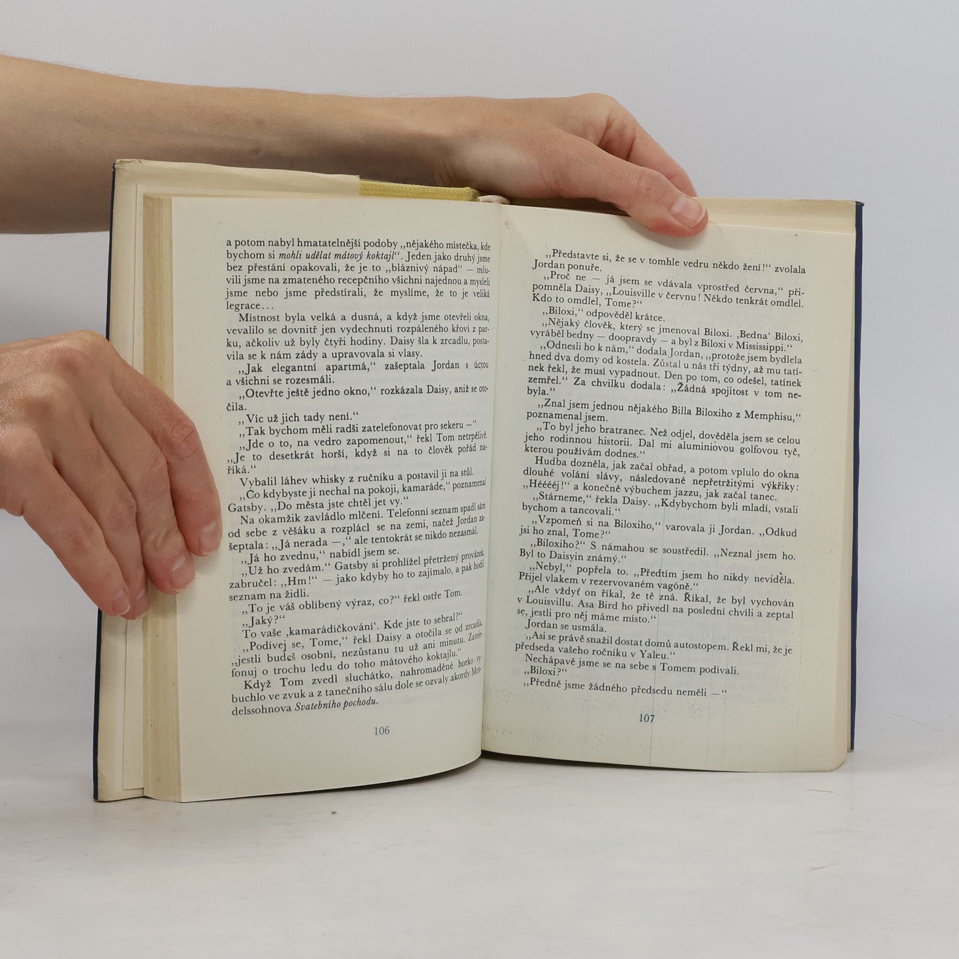 Francis Scott Fitzgerald Velký Gatsby. Poslední magnát