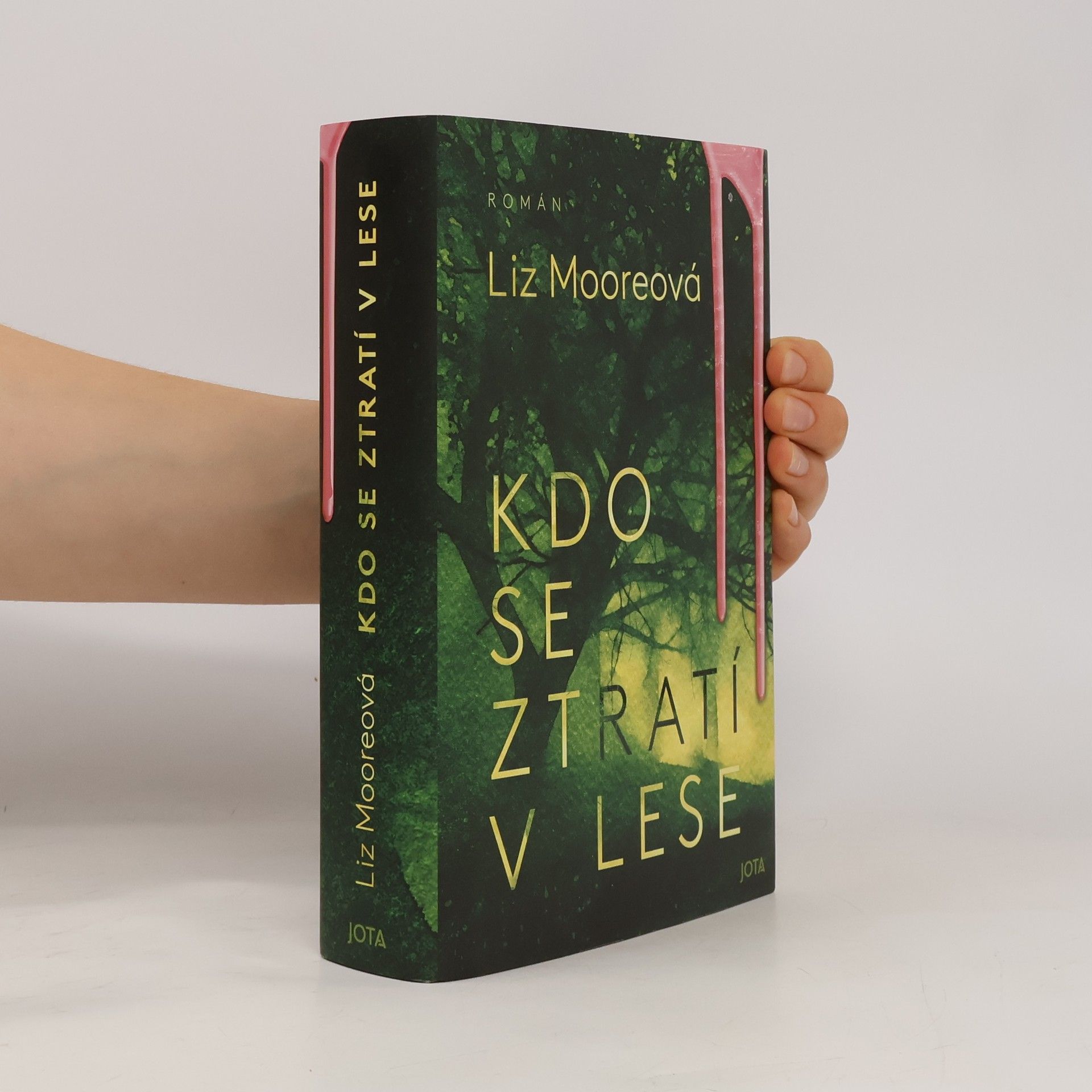 Liz Moore Kdo se ztratí v lese