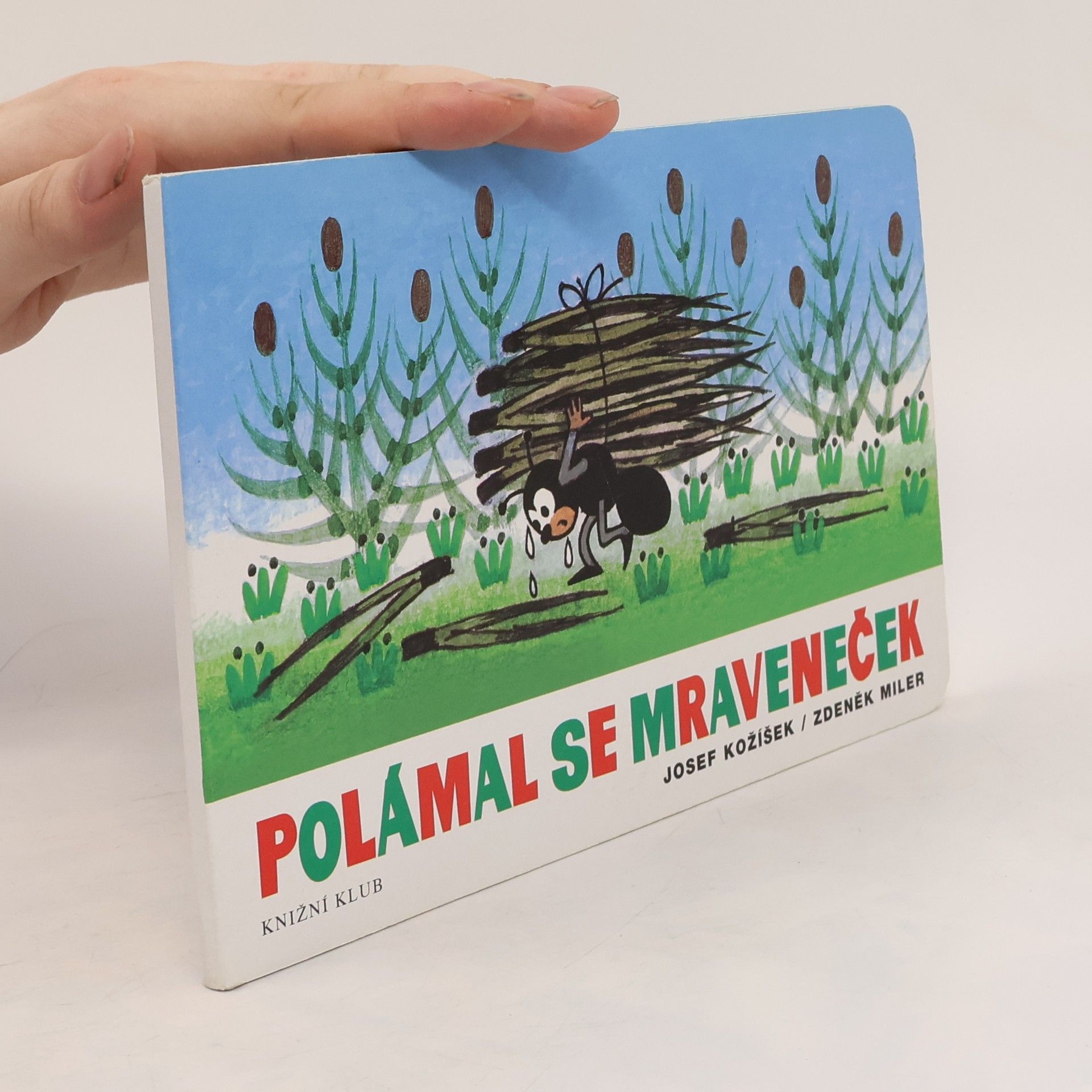 Polámal se mraveneček