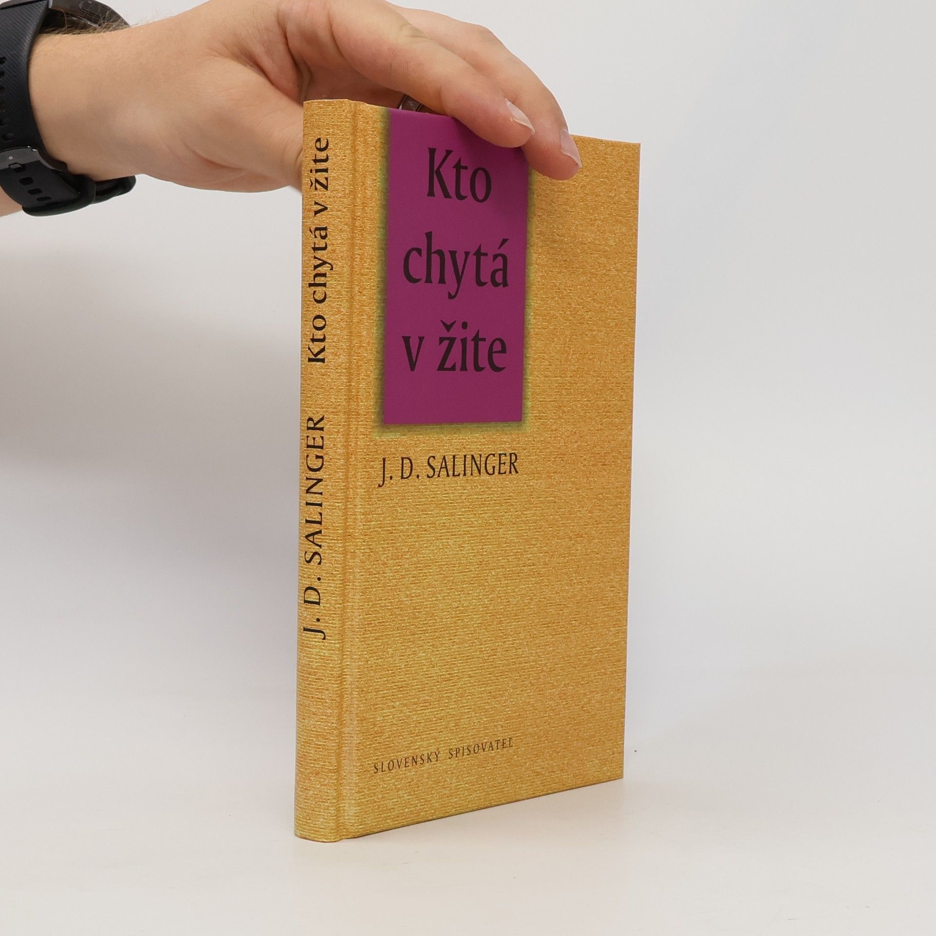 Jerome David Salinger Kto chytá v žite