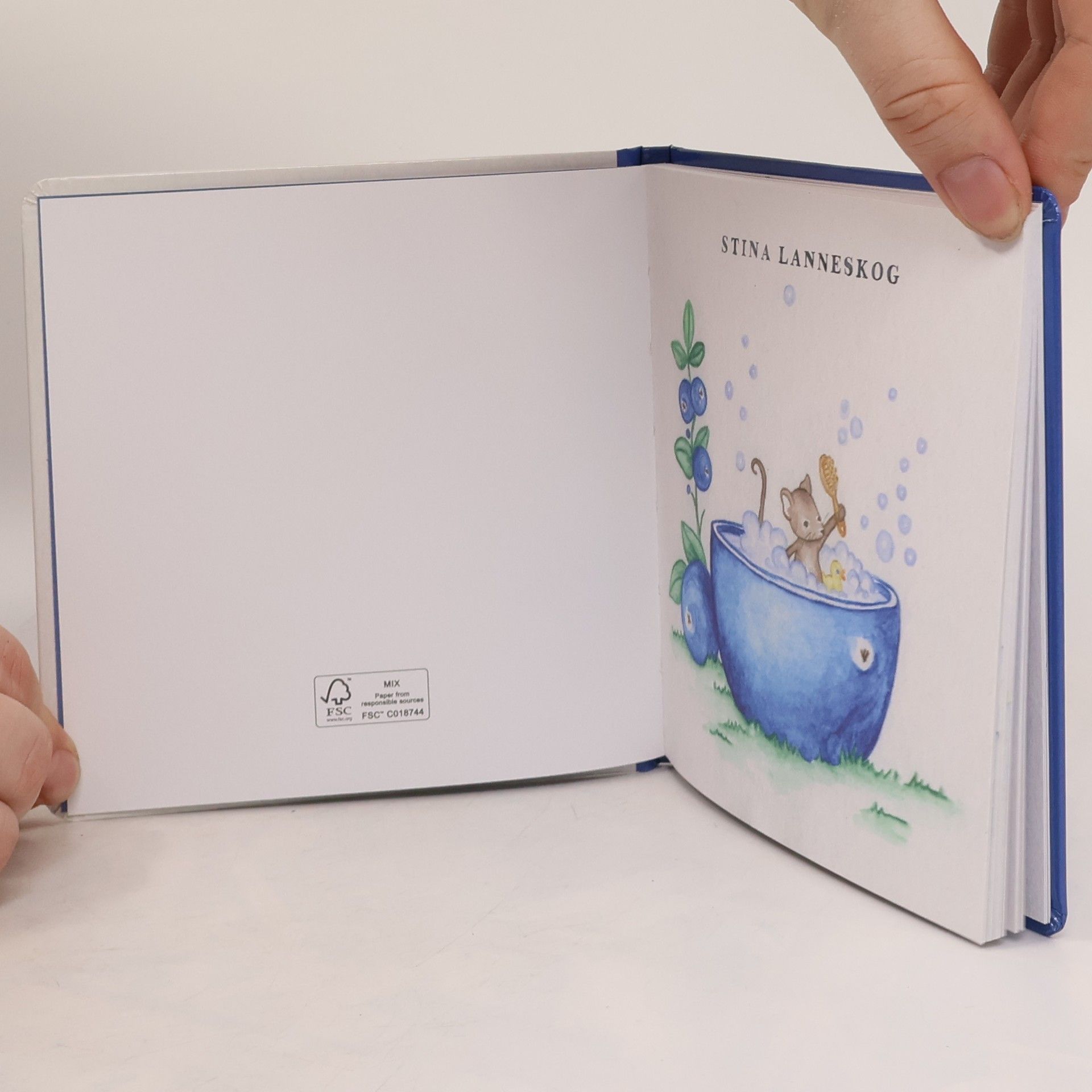Stina Lanneskog Mouse