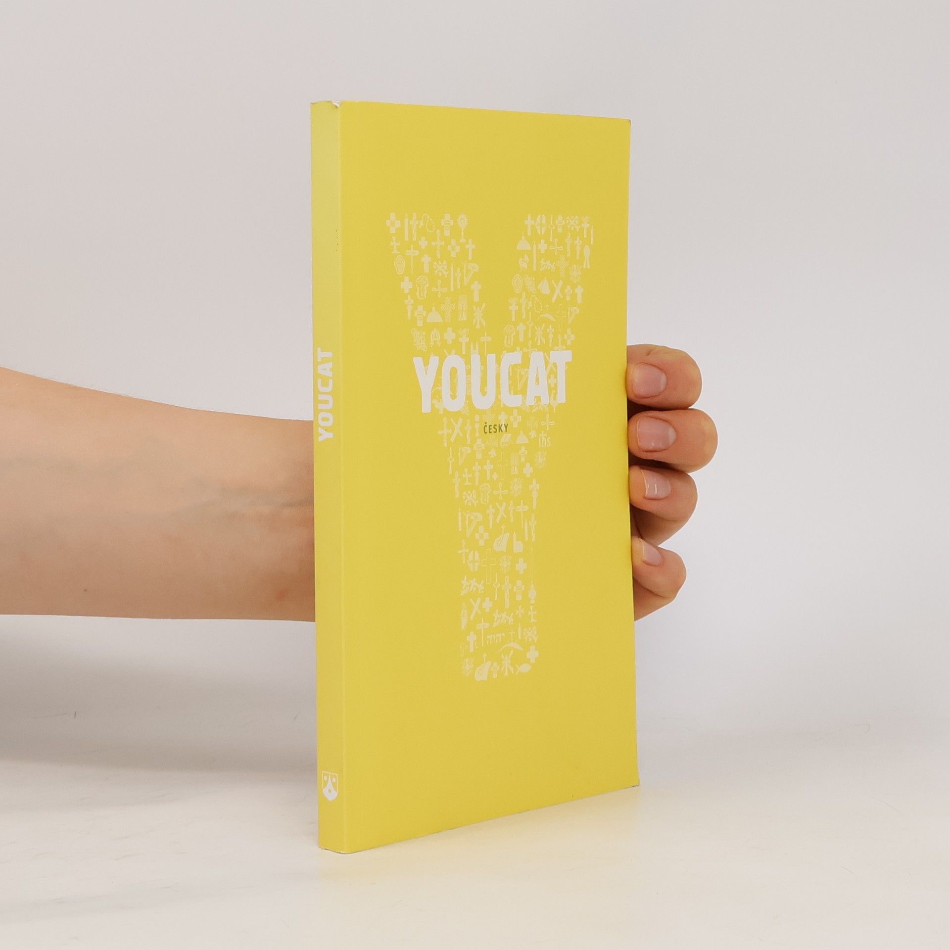 Collectif d'auteurs Youcat: katechismus katolické církve pro mladé