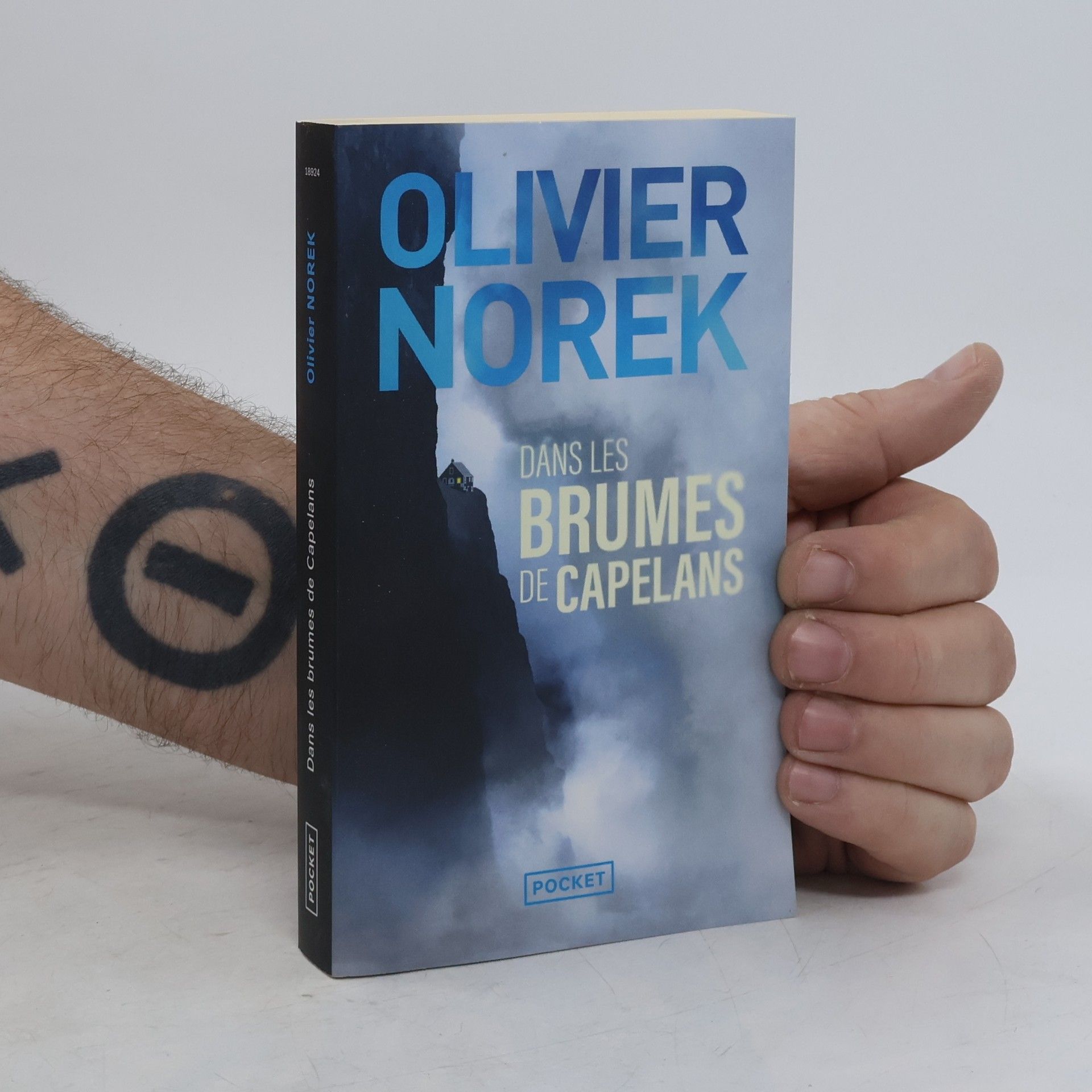 Olivier Norek Dans les brumes de Capelans