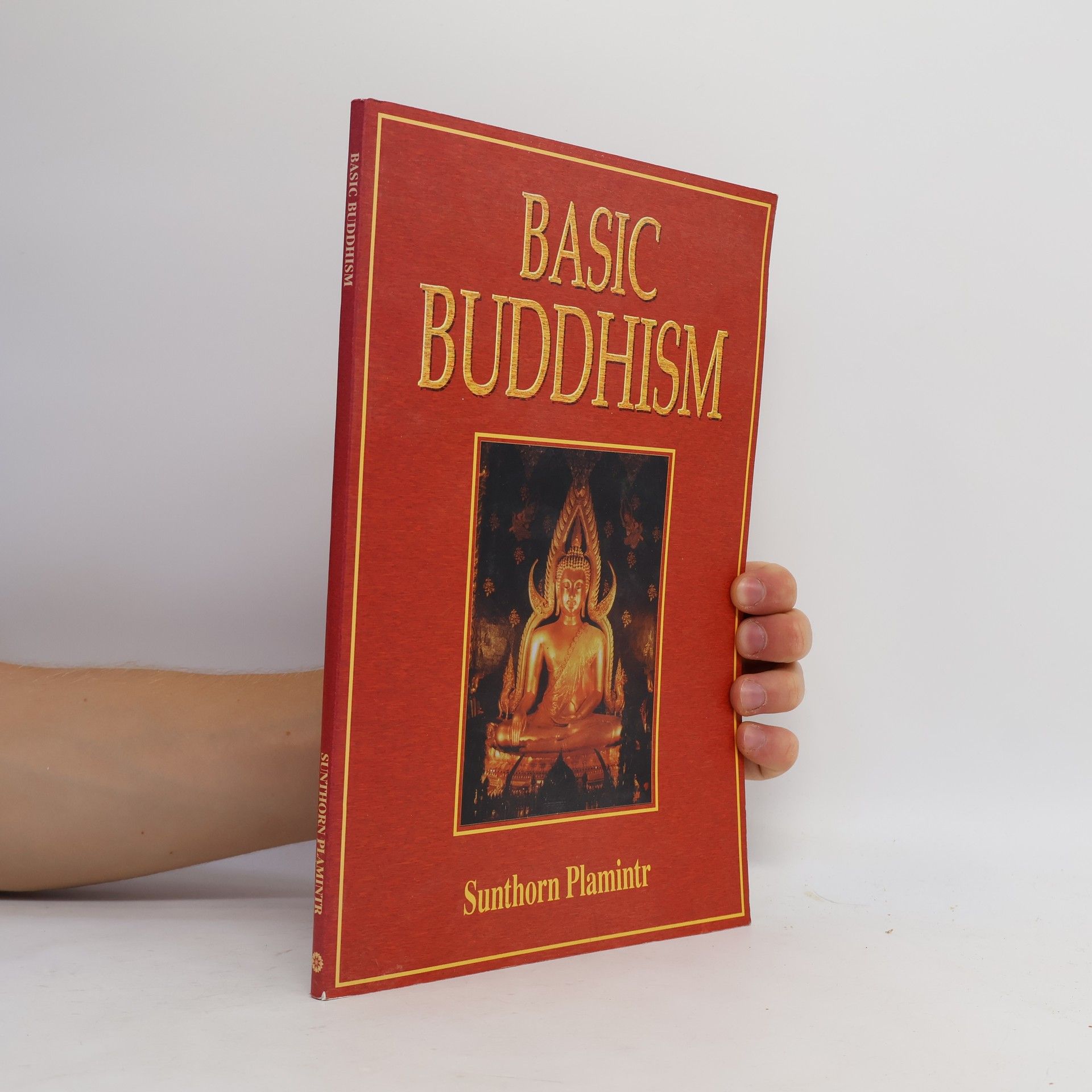 Sunthorn Plamintr Basic Buddhism