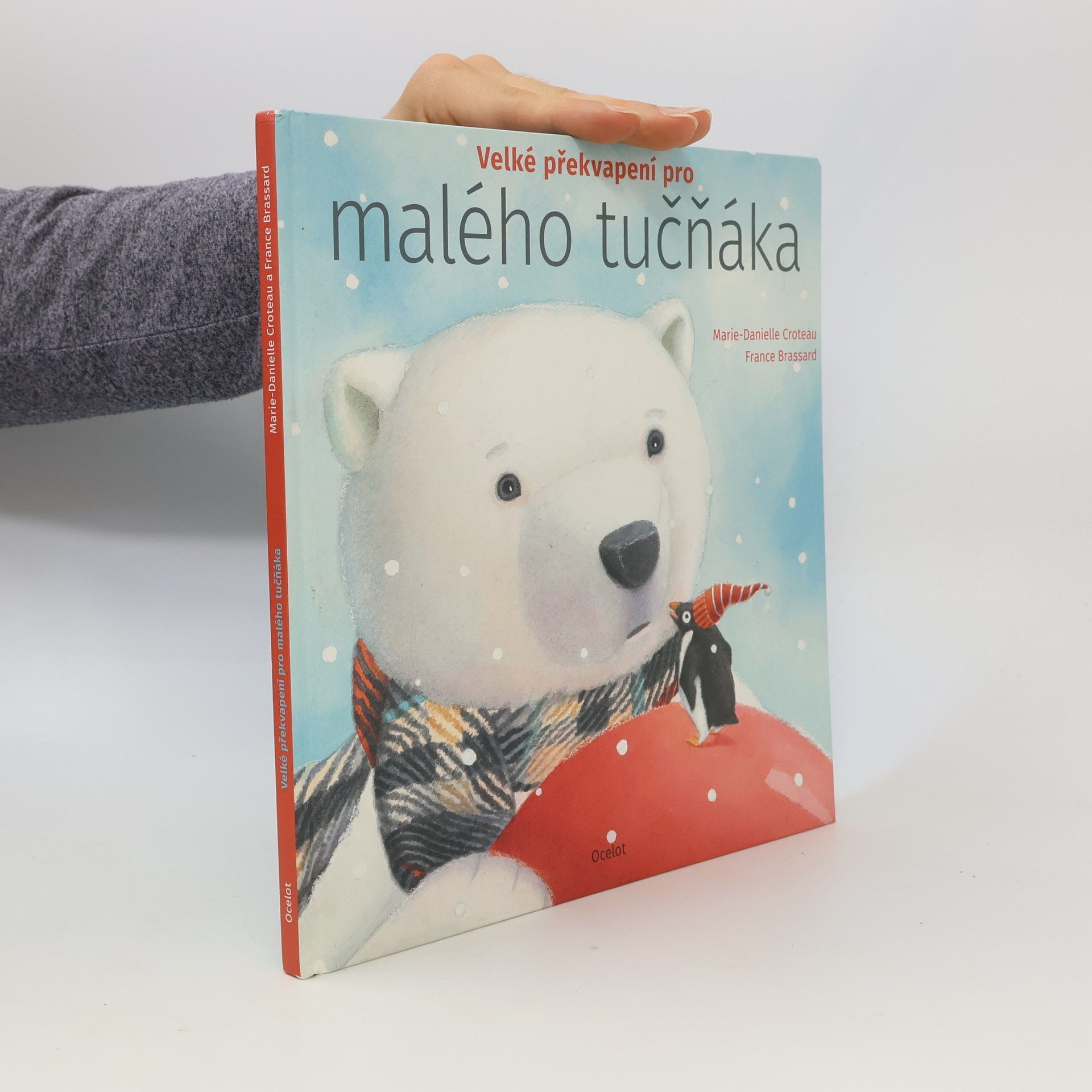 MarieDanielle Croteau Velké překvapení pro malého tučňáka
