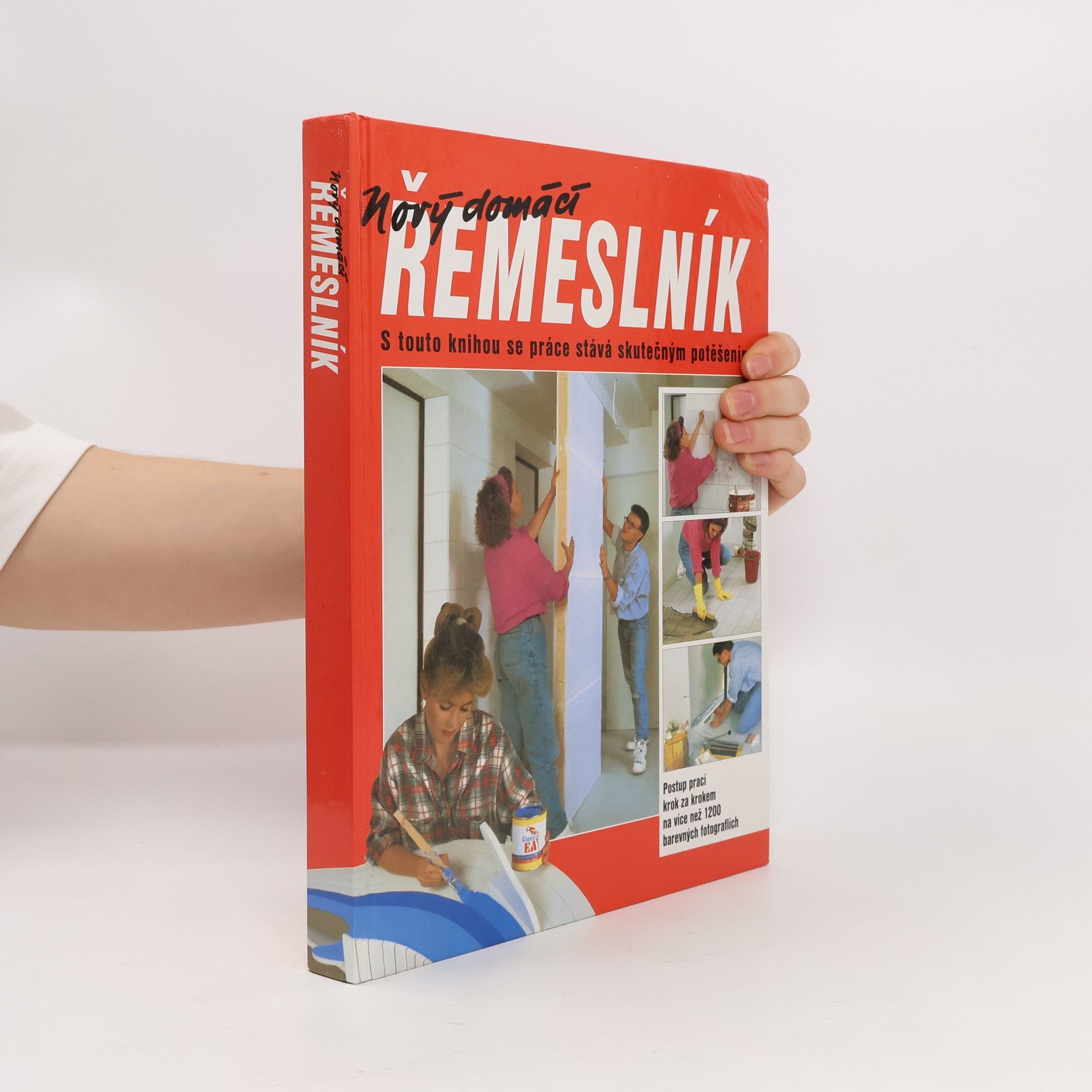 Dieter Rex Nový domácí řemeslník