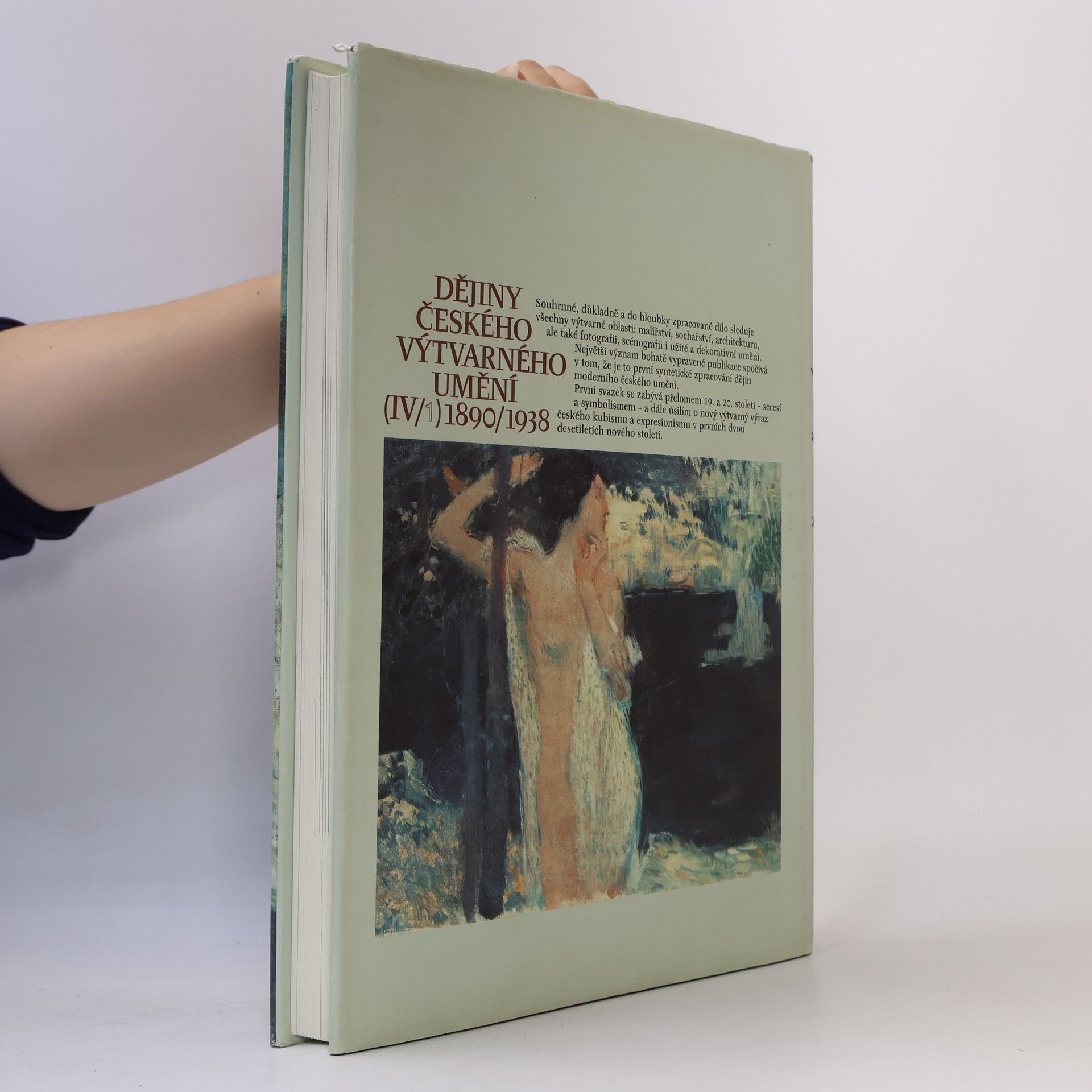 Autores varios Dějiny českého výtvarného umění 1890-1938 IV./1
