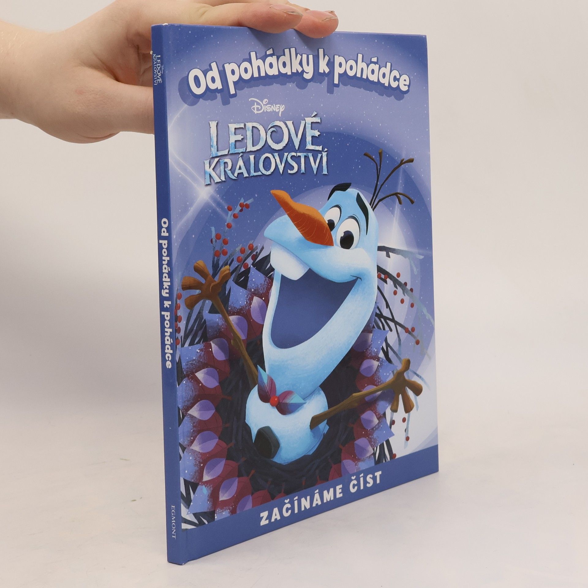 Od pohádky k pohádce. Ledové království