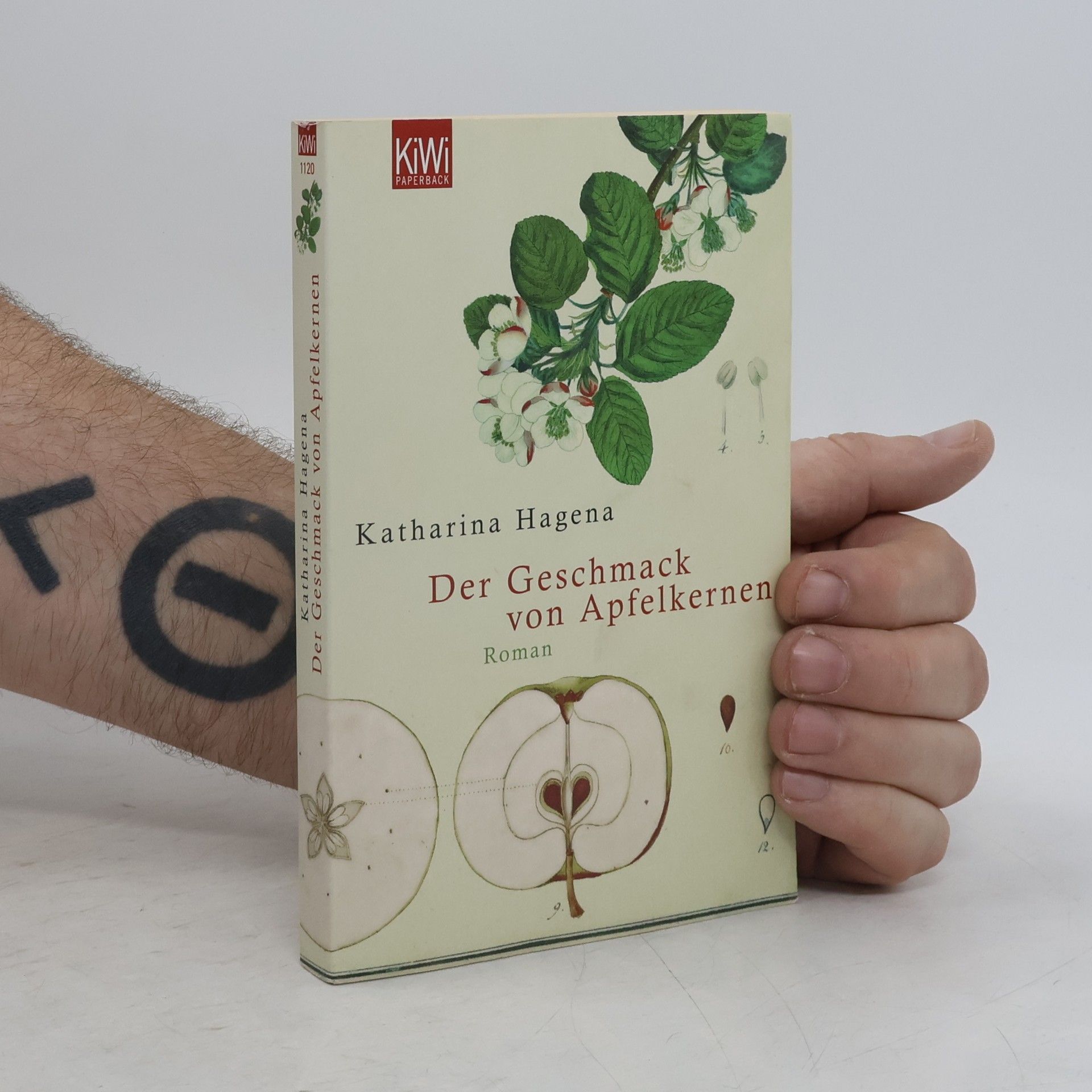 Katharina Hagena Der Geschmack von Apfelkernen