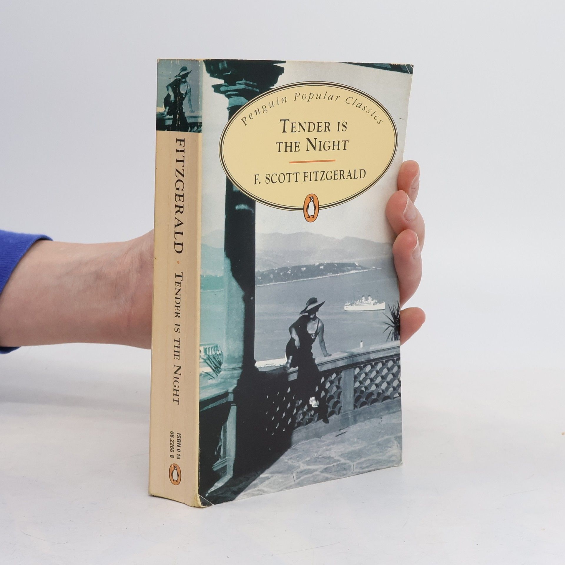 F. Scott Fitzgerald Tender is the Night