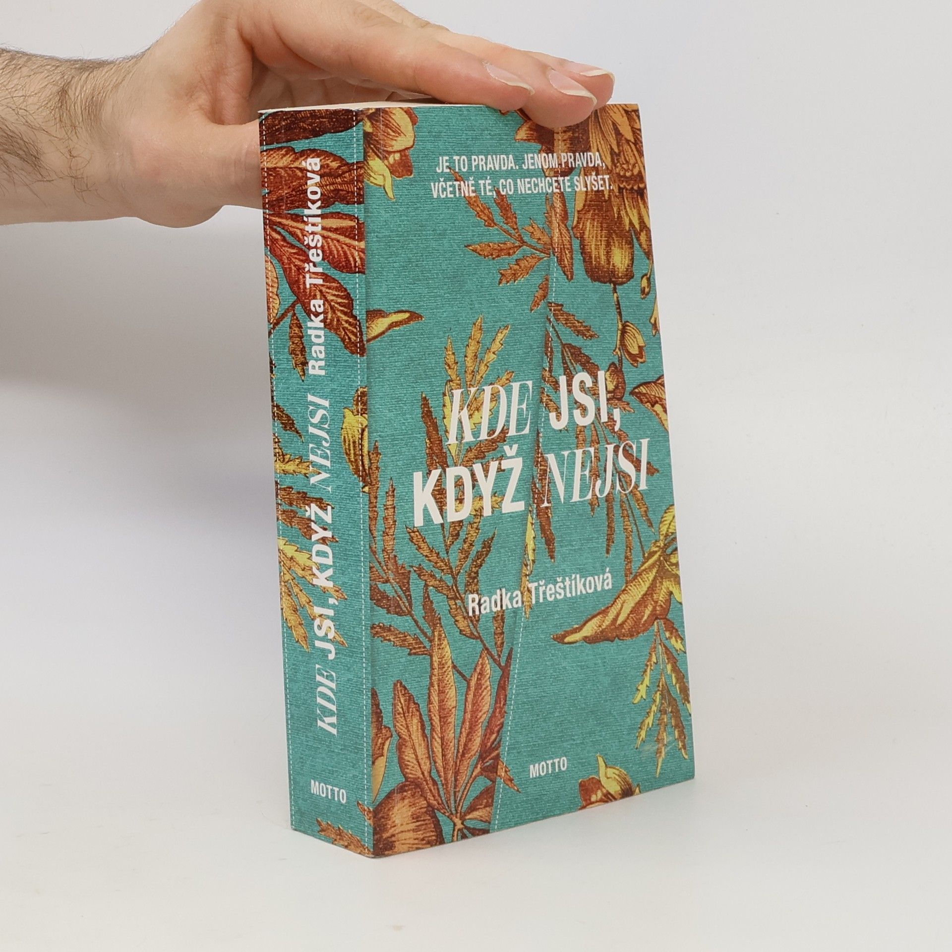 Radka Třeštíková Kde jsi, když nejsi