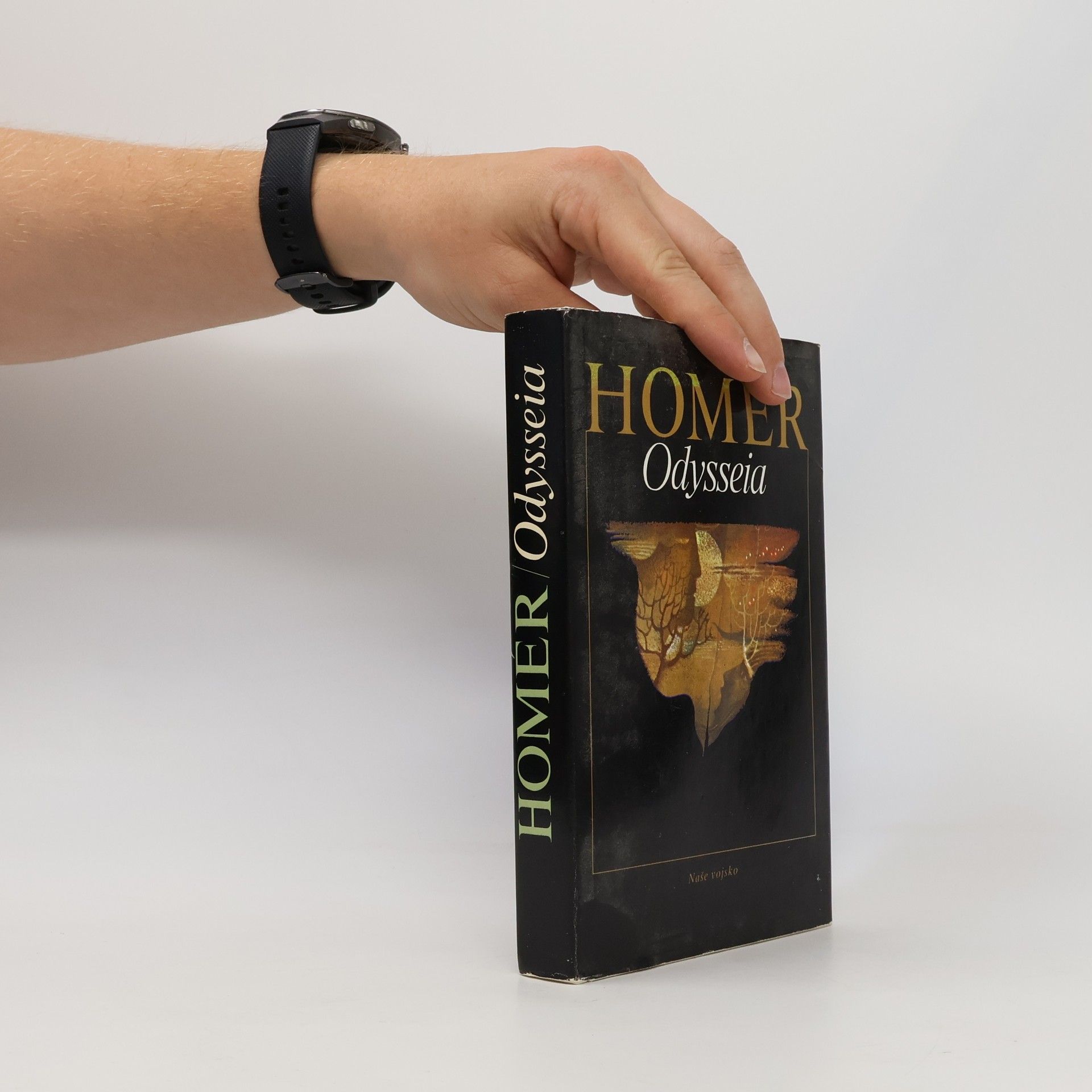 Homér Odysseia