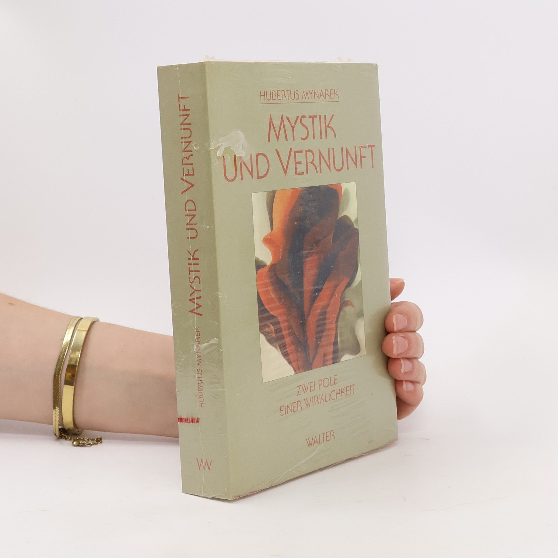 Hubertus Mynarek Mystik und Vernunft