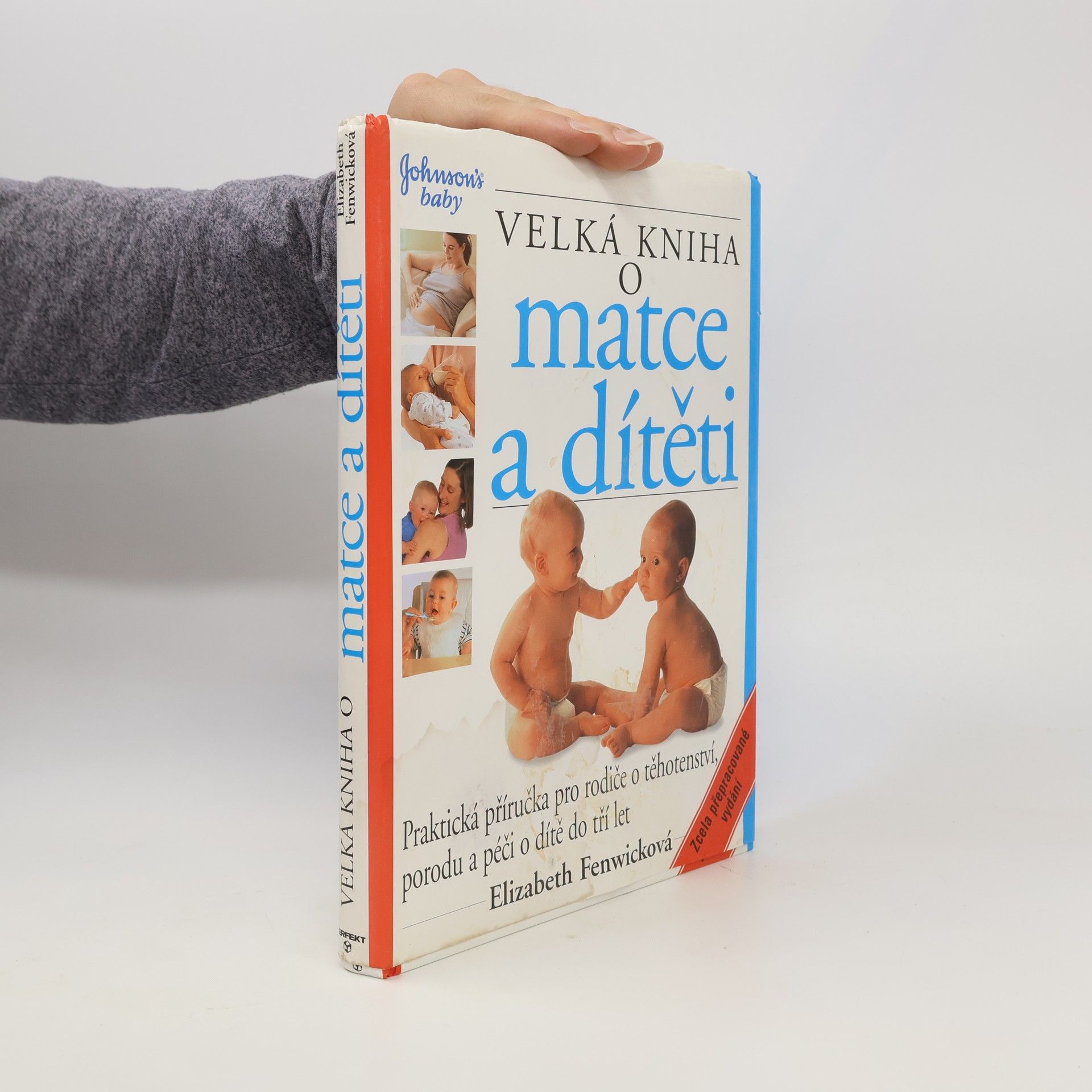 Elizabeth Fenwick Velká kniha o matce a dítěti