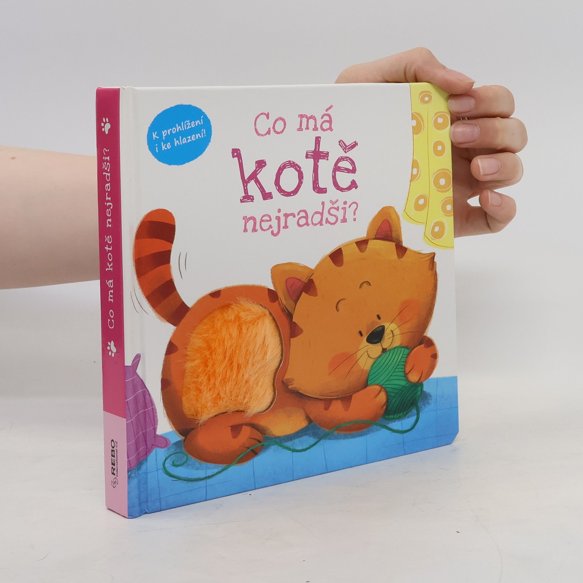 Autorenkollektiv Co má kotě nejradši?