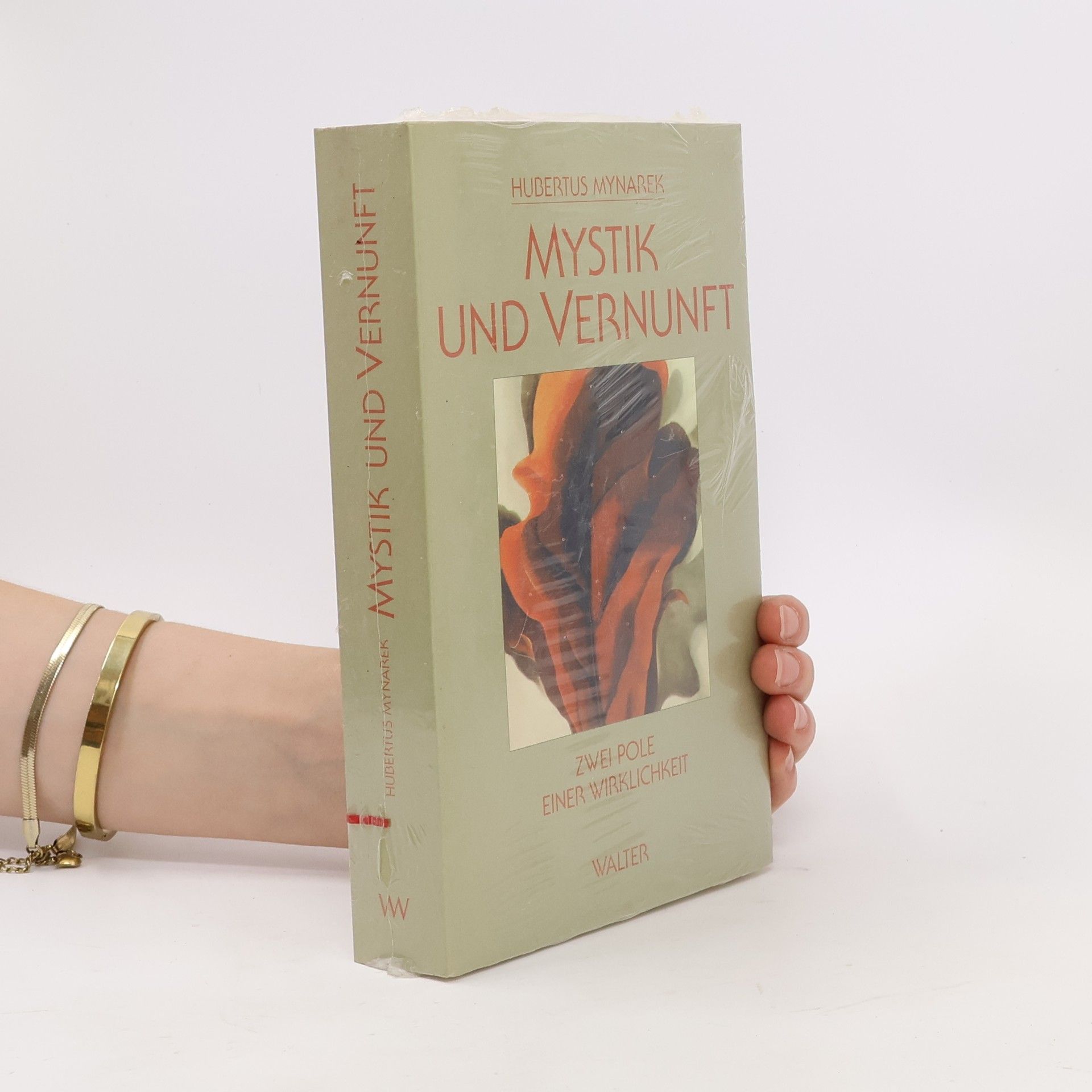 Hubertus Mynarek Mystik und Vernunft
