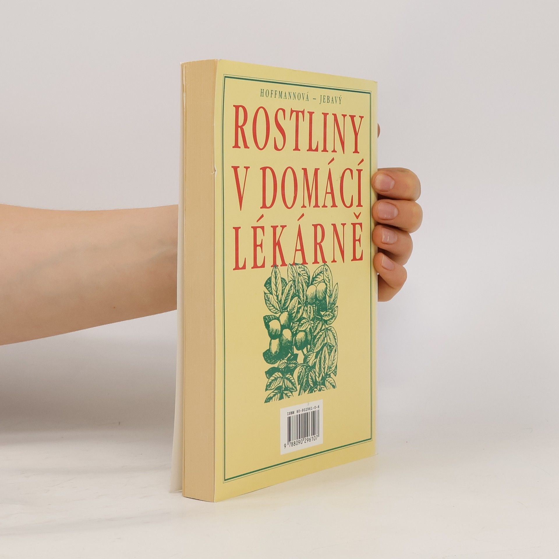 Eva Hoffmannová Rostliny v domácí lékárně