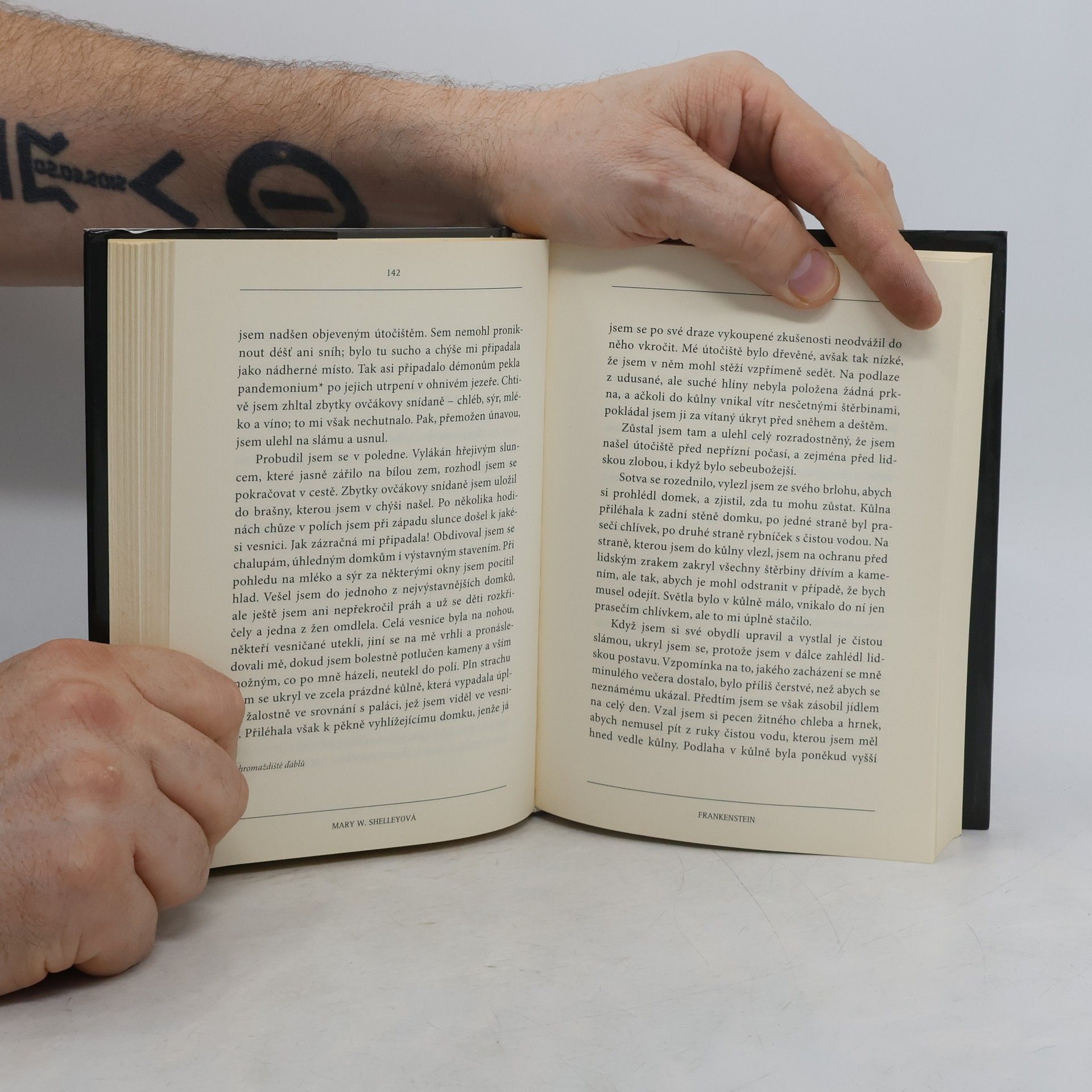 Mary Shelley Frankenstein