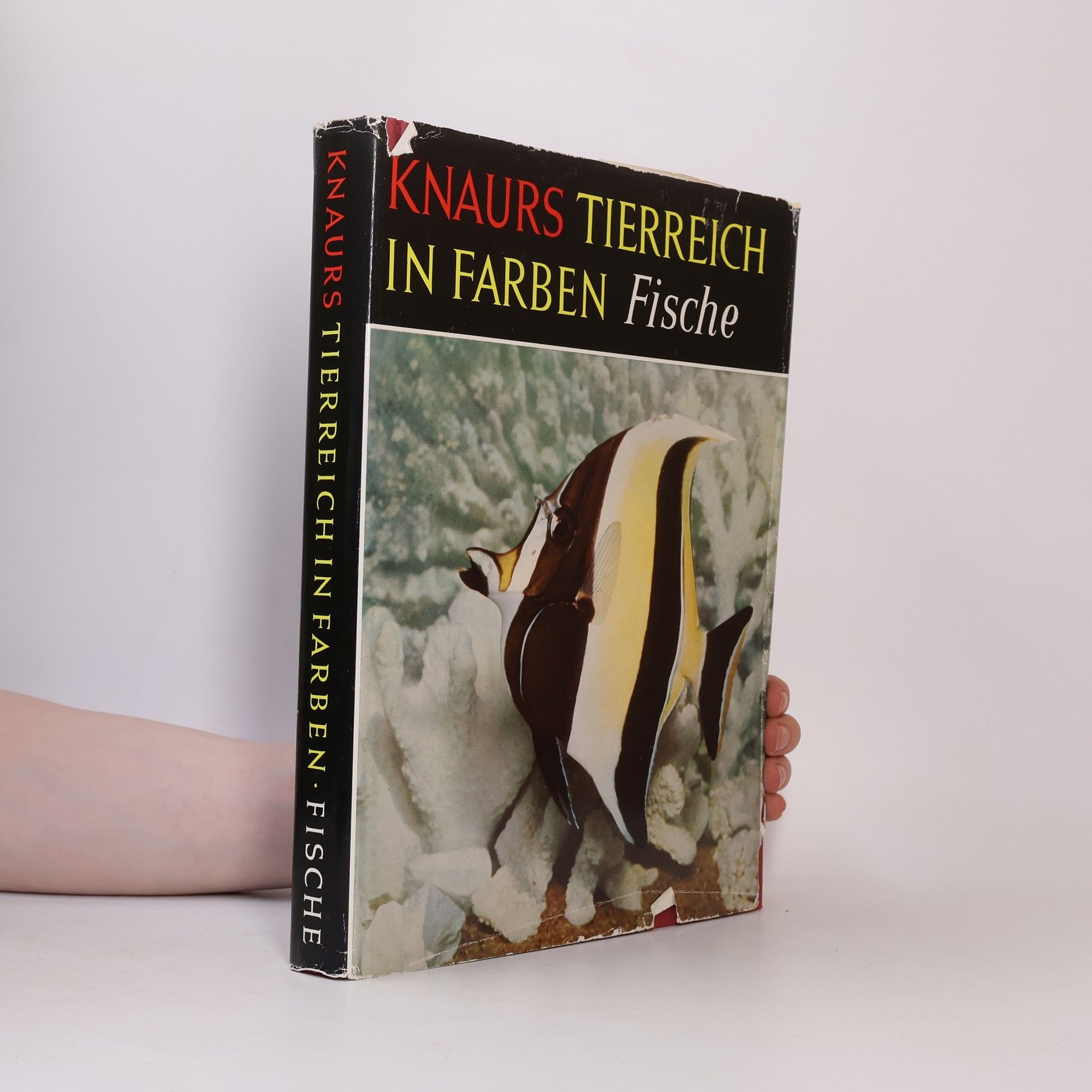 Earl Herald Knaurs Tierreich in Farben: Fische