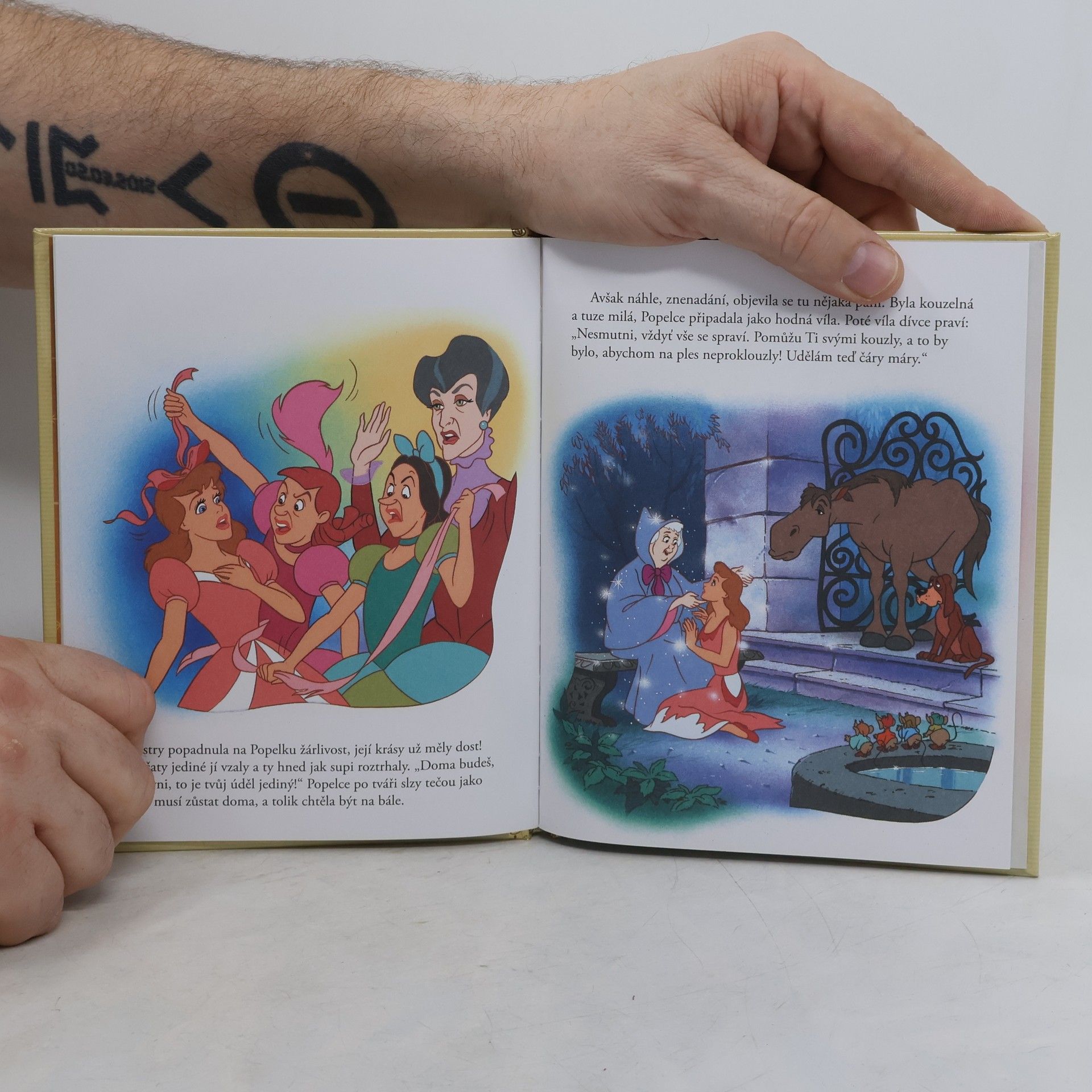 Autores varios Zlatá sbírka pohádek 9. Popelka