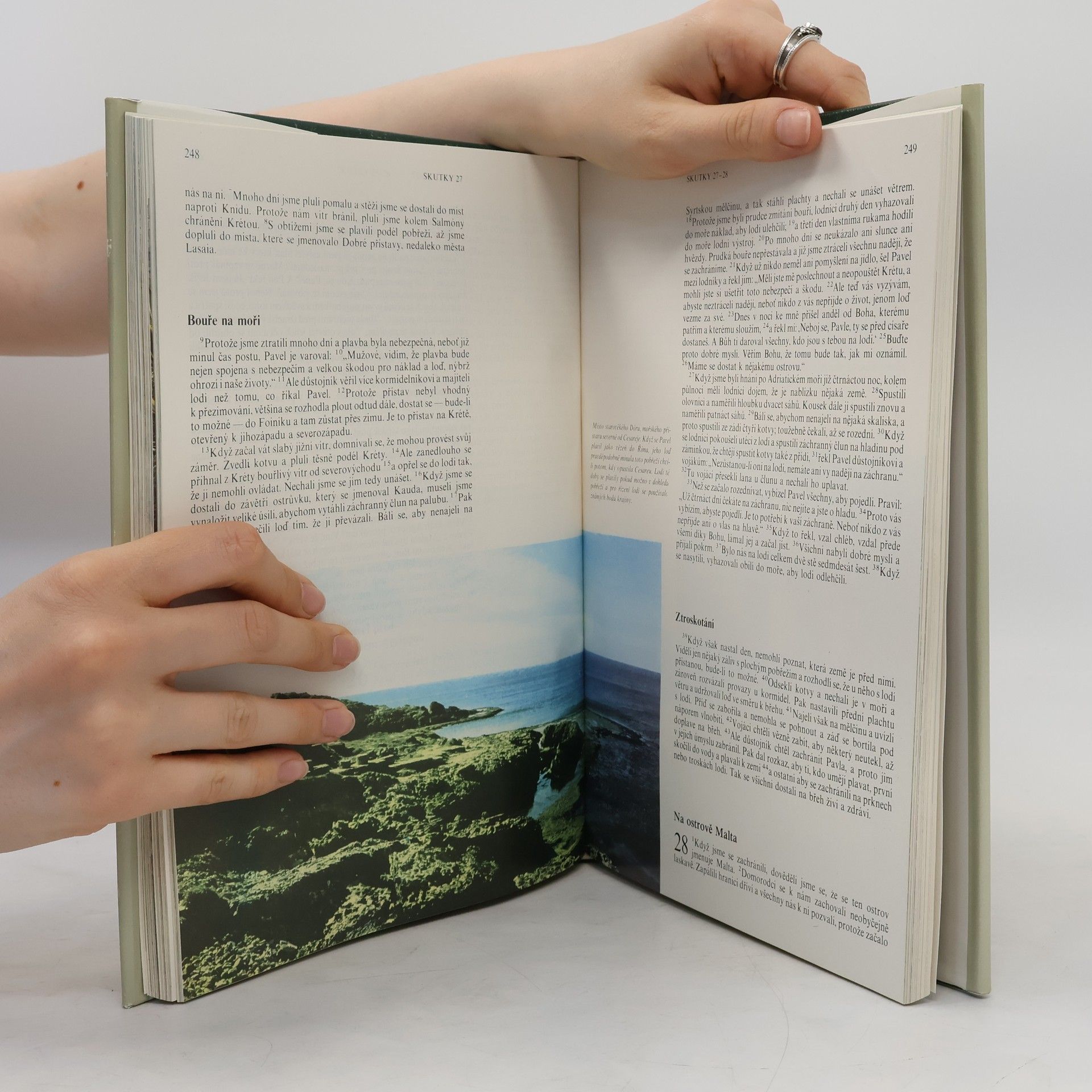 Various authors Nový Zákon s ilustracemi