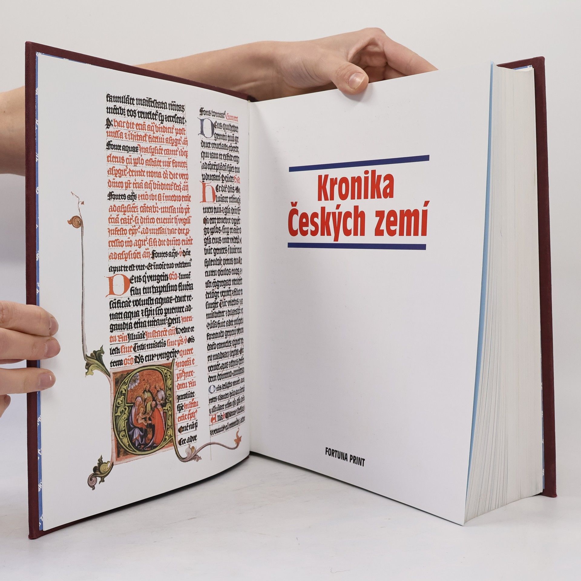 Collectif d'auteurs Kronika Českých zemí