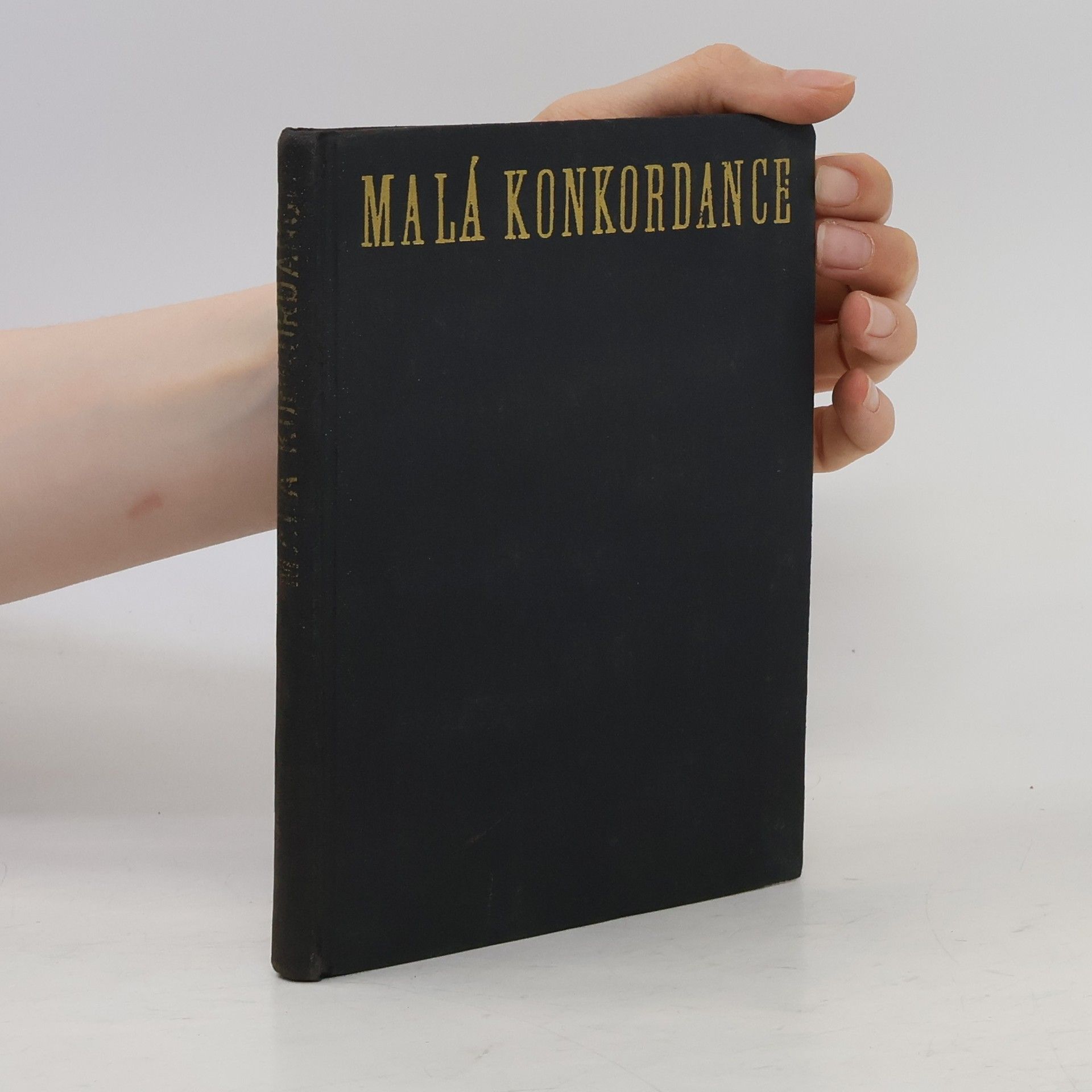 Malá konkordance. Biblický ukazatel.