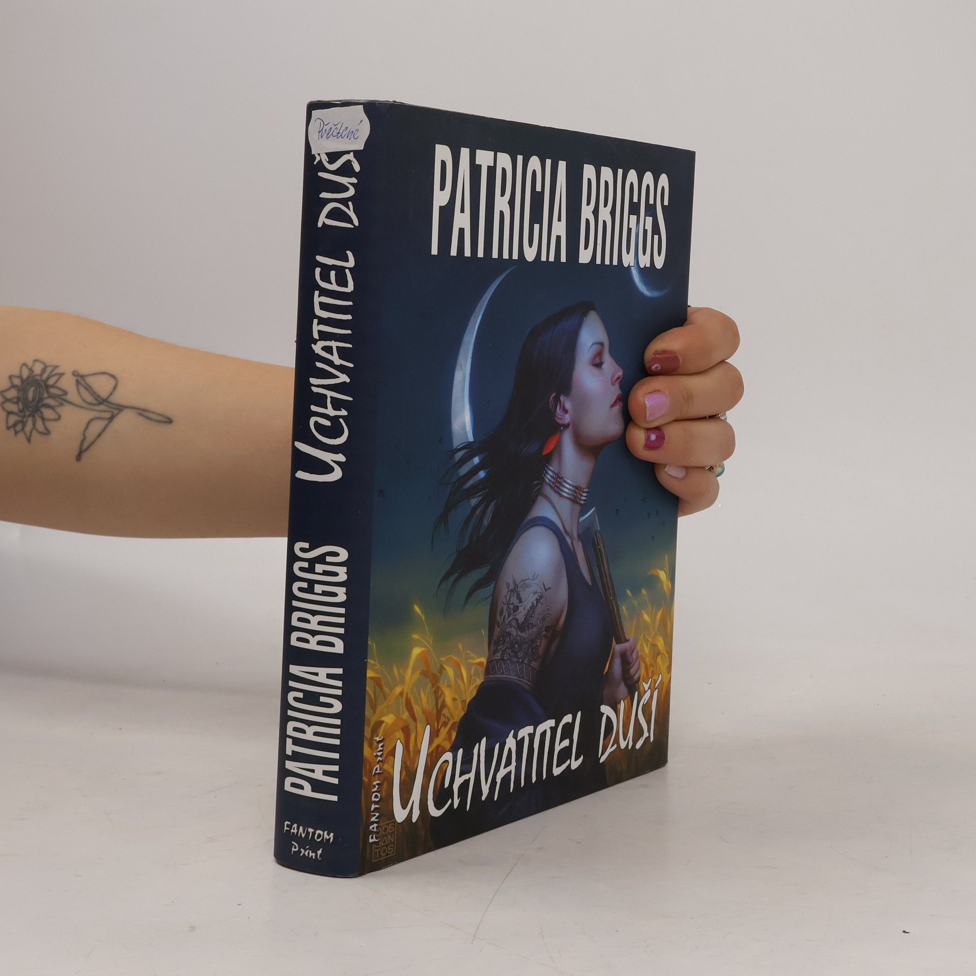 Patricia Briggs Uchvatitel duší