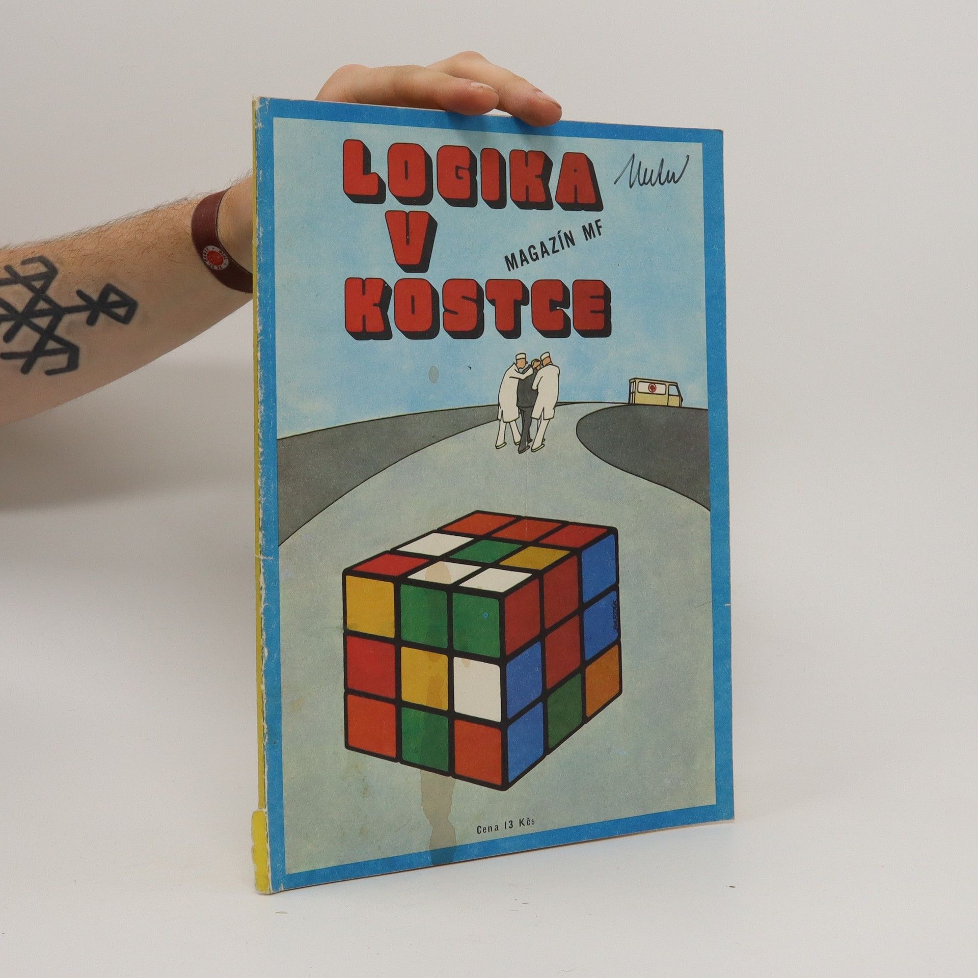 Kolektiv autorů Logika v kostce