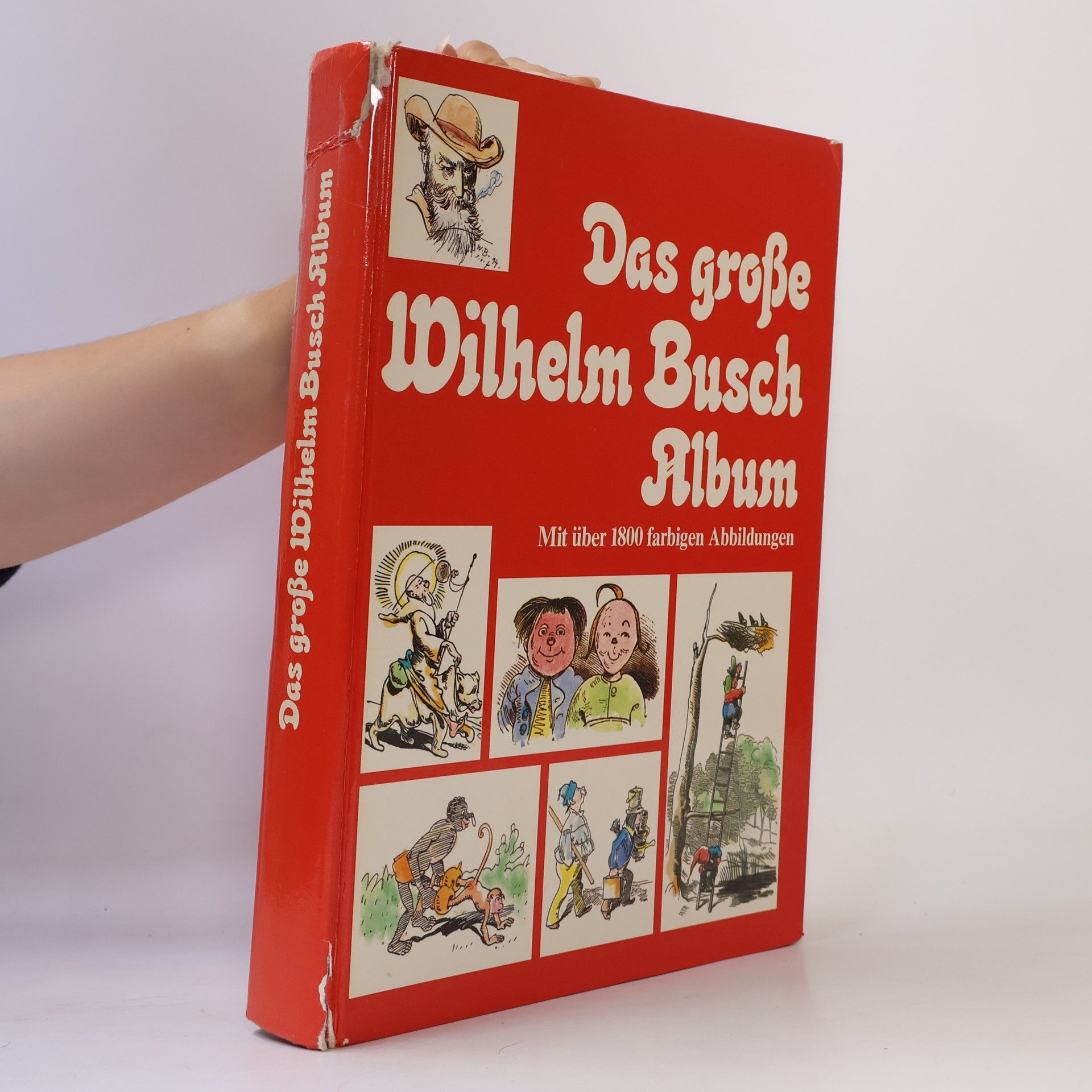 Autorenkollektiv Das große Wilhelm Busch Album