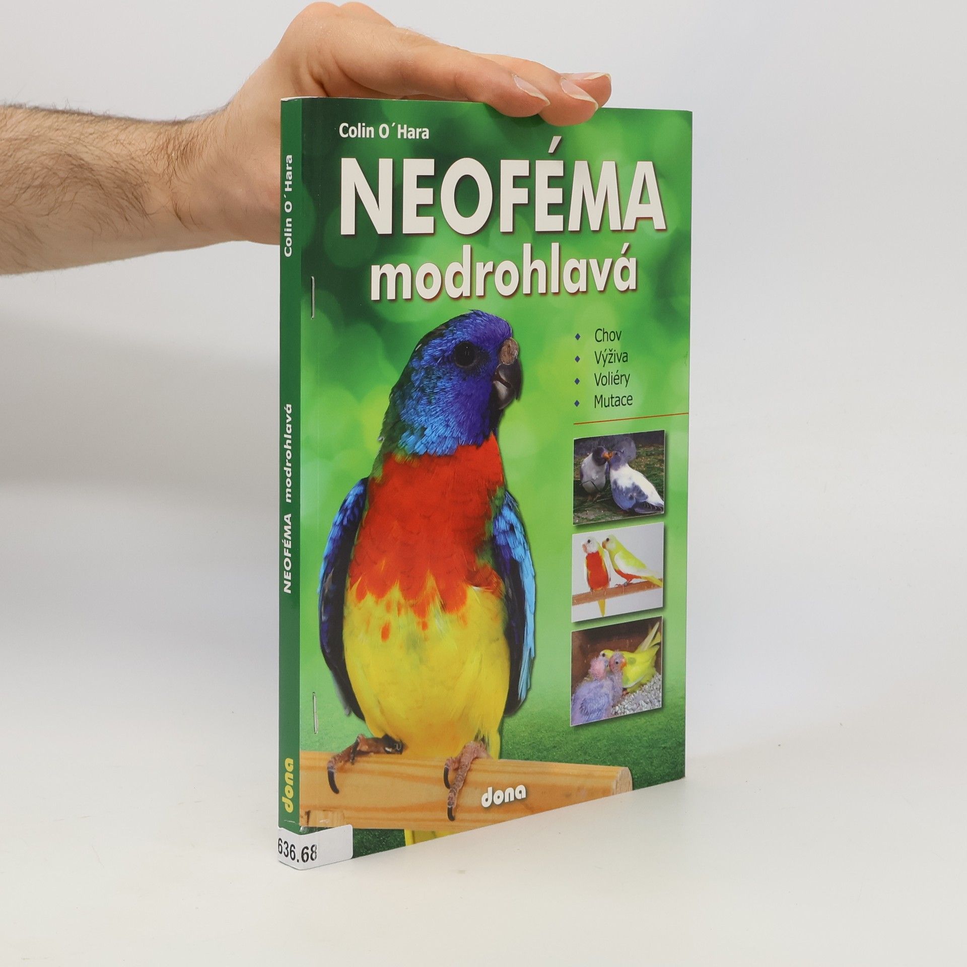 Colin O'Hara Neoféma modrohlavá