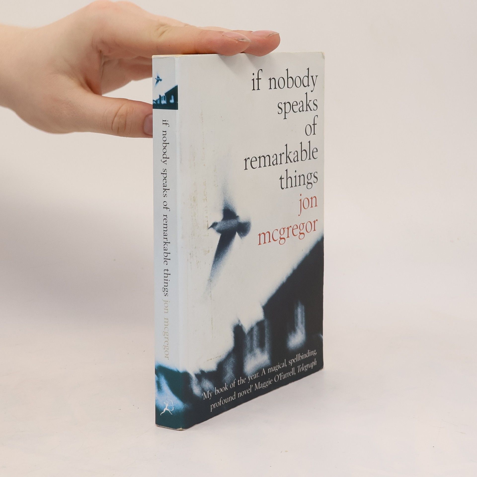 Jon McGregor If nobody speaks of remarkable things